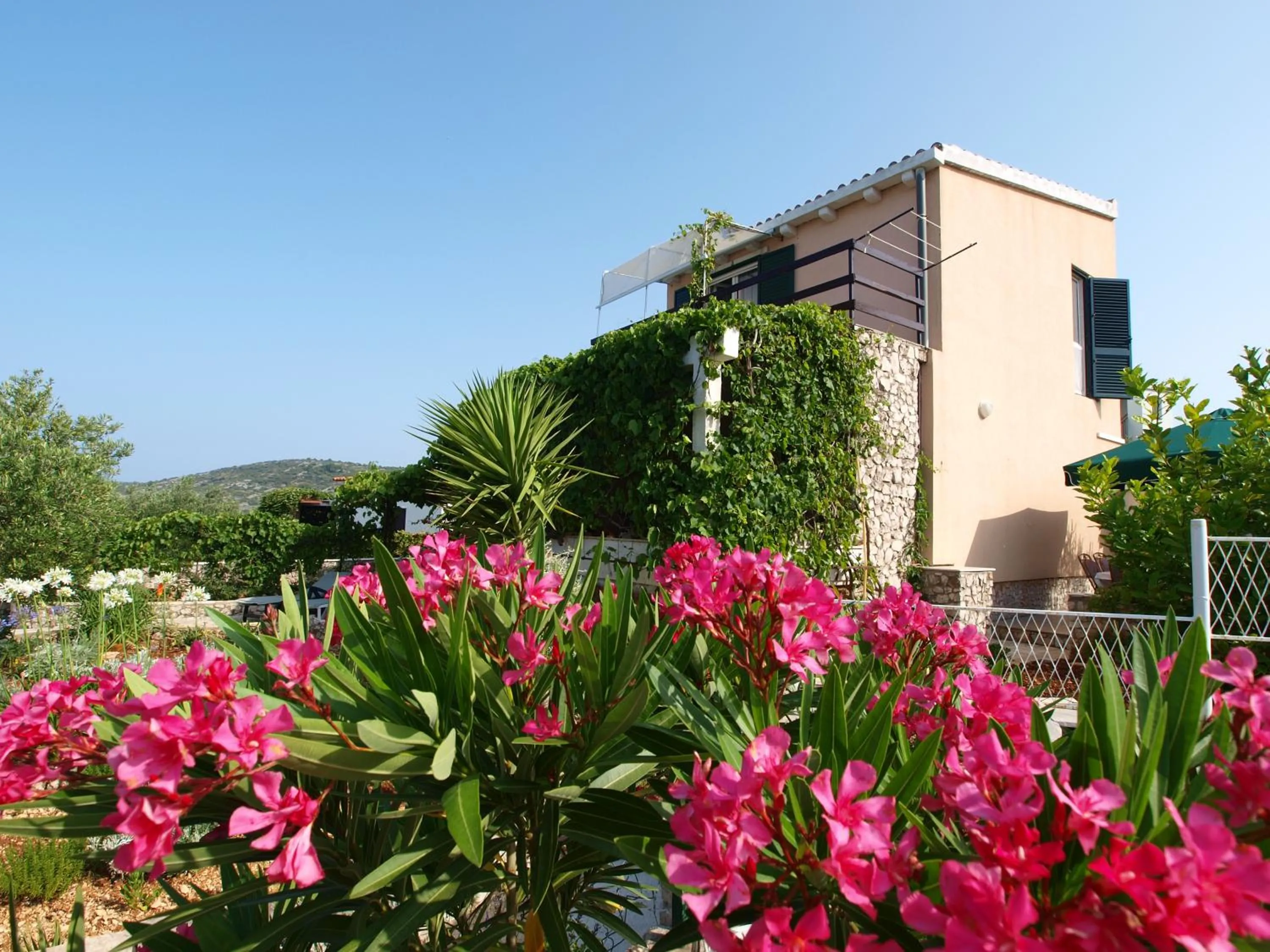 Garden view in Villa Perla