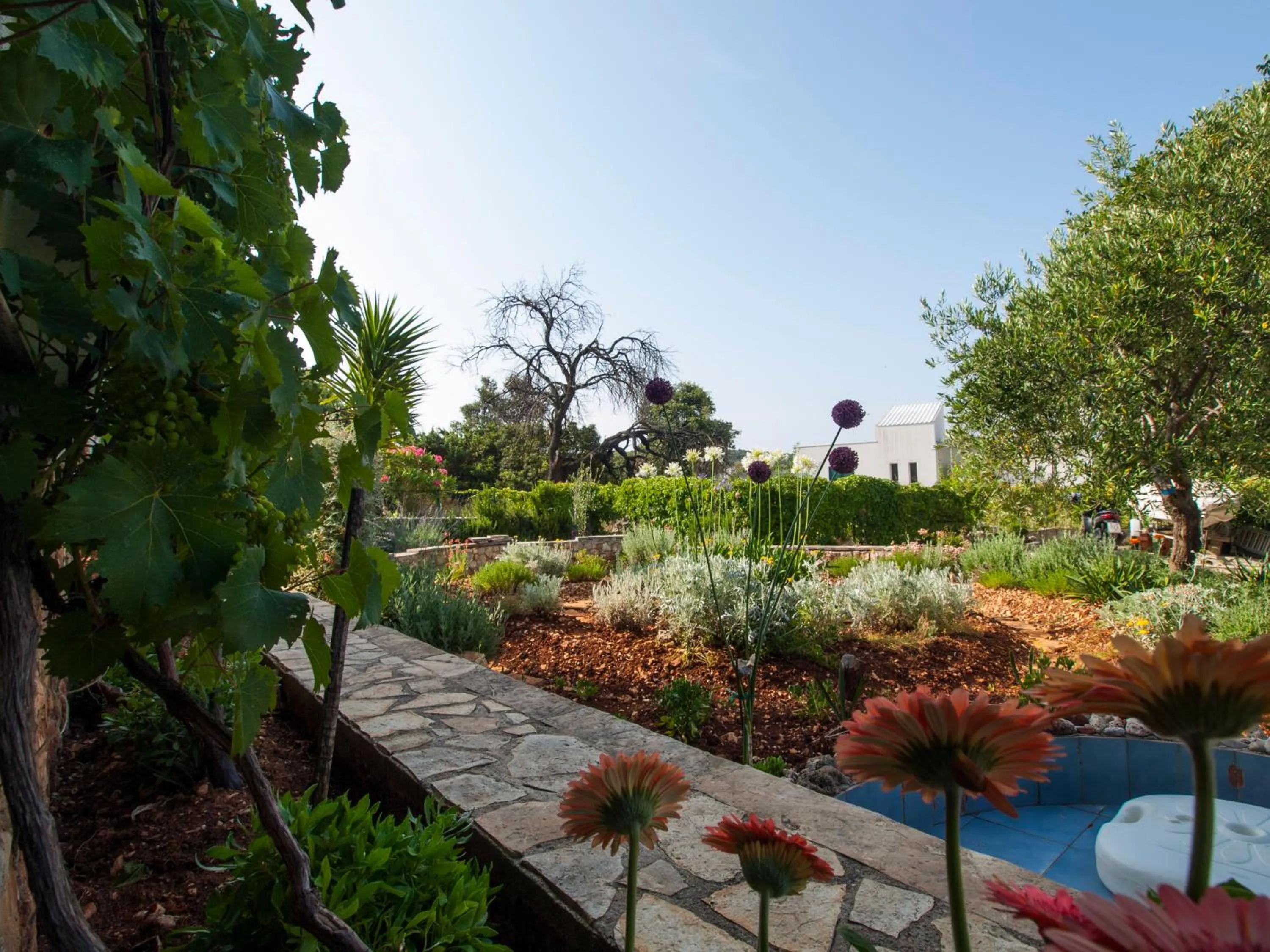 Garden in Villa Perla