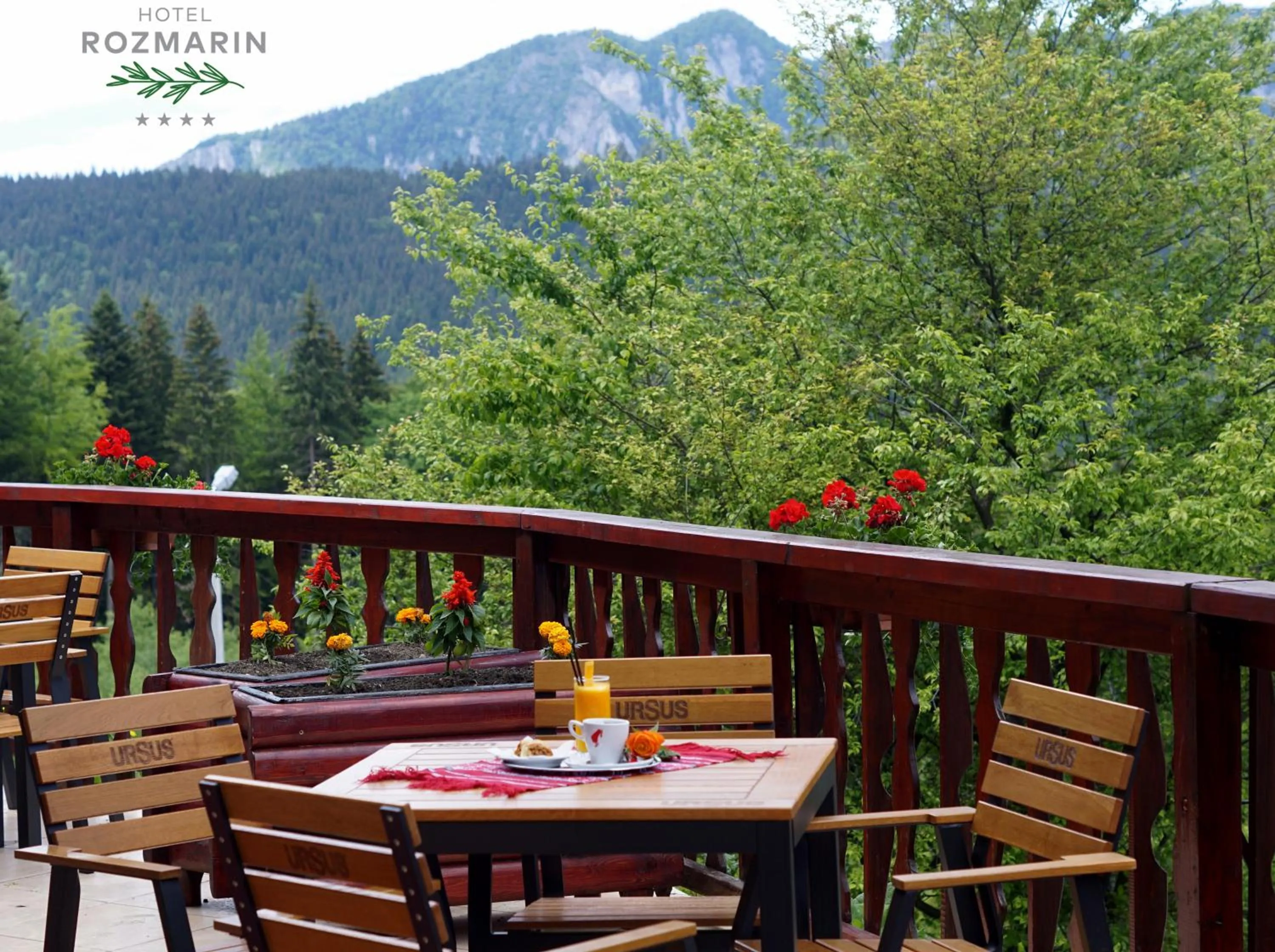 Balcony/Terrace in Hotel Rozmarin