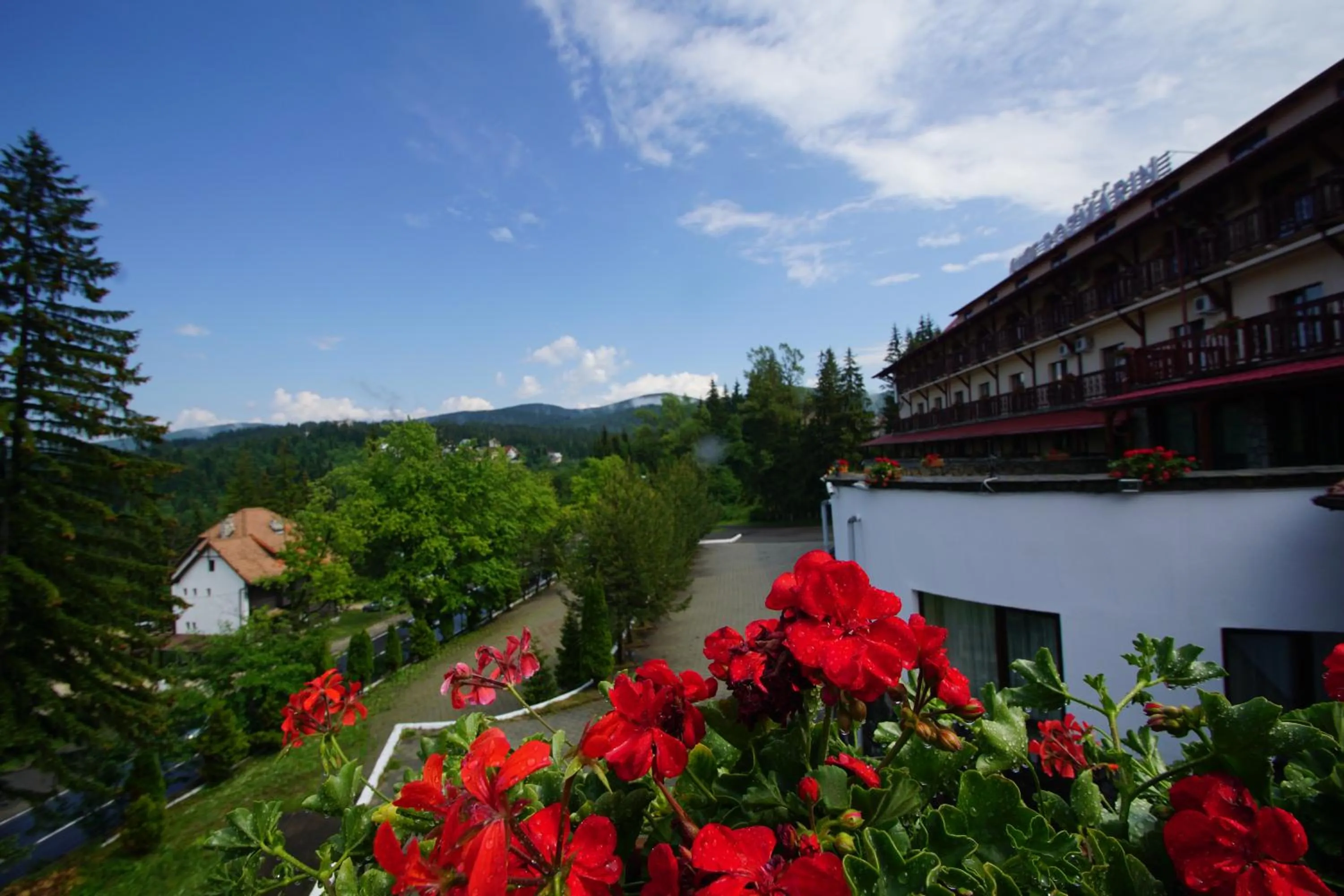 Mountain view in Hotel Rozmarin