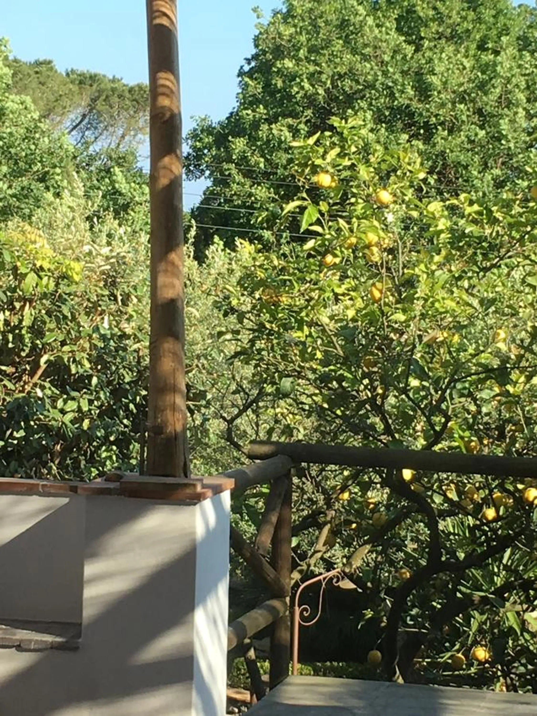 Garden view in Relais Villa Anna