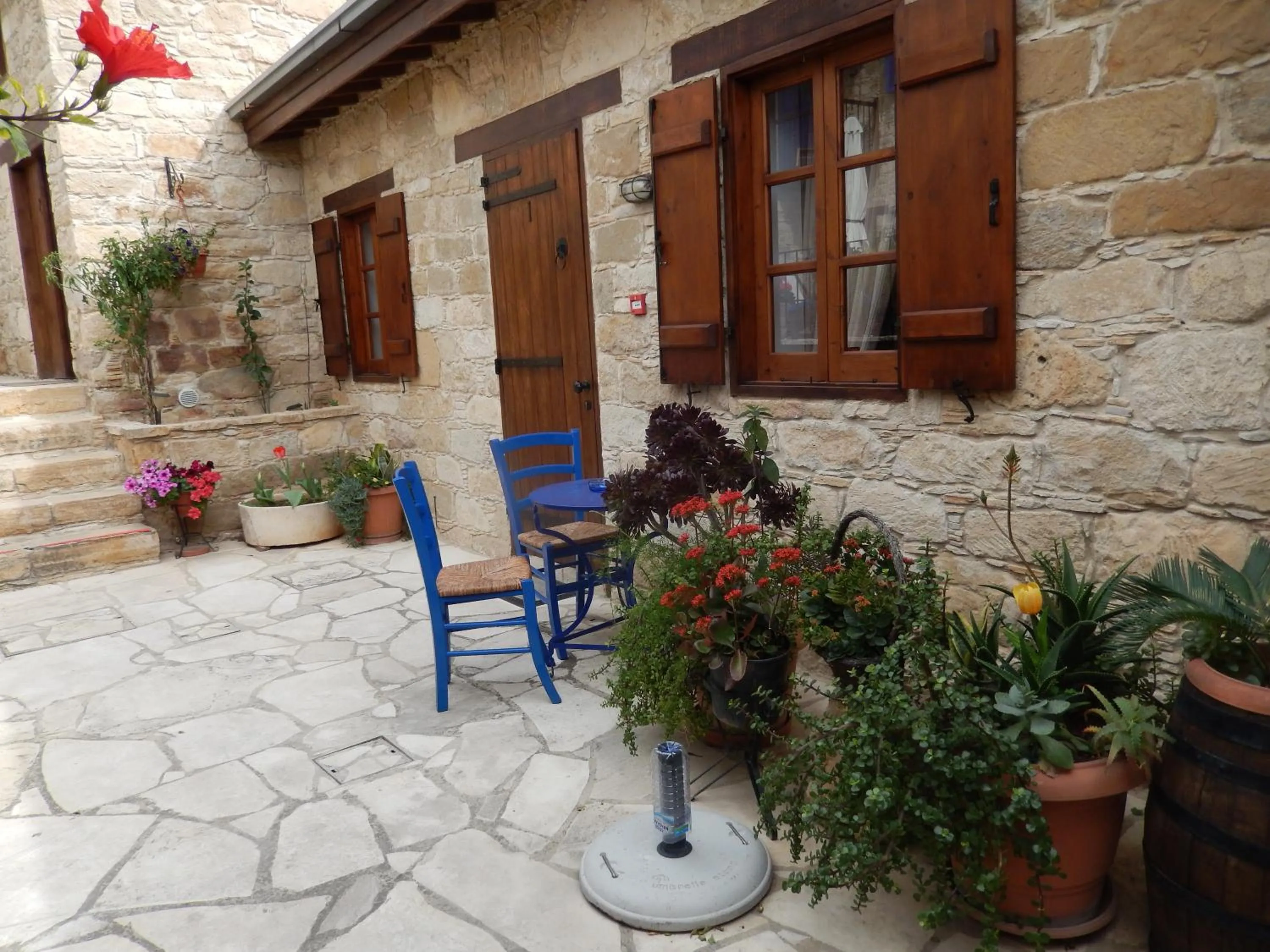 Garden in Niki's House