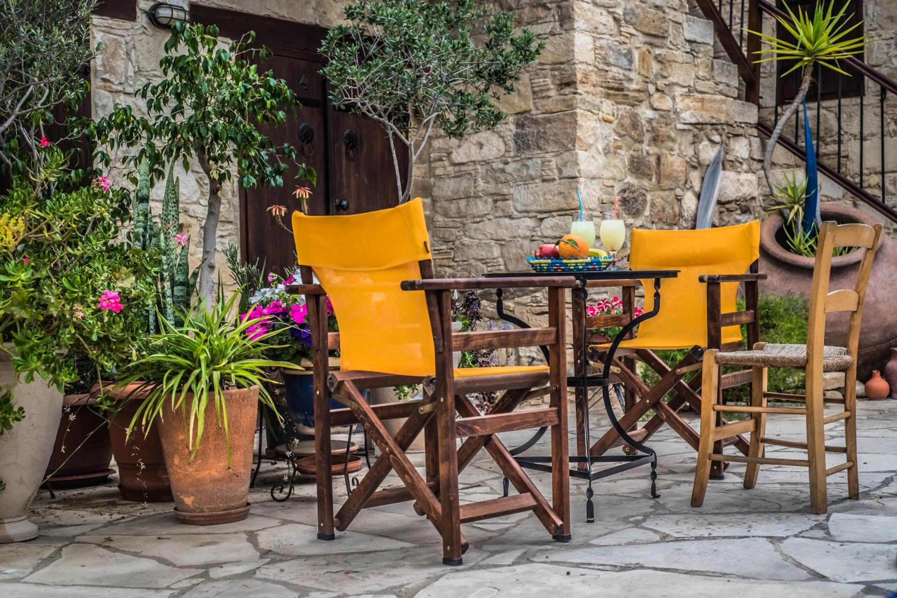 Garden in Niki's House