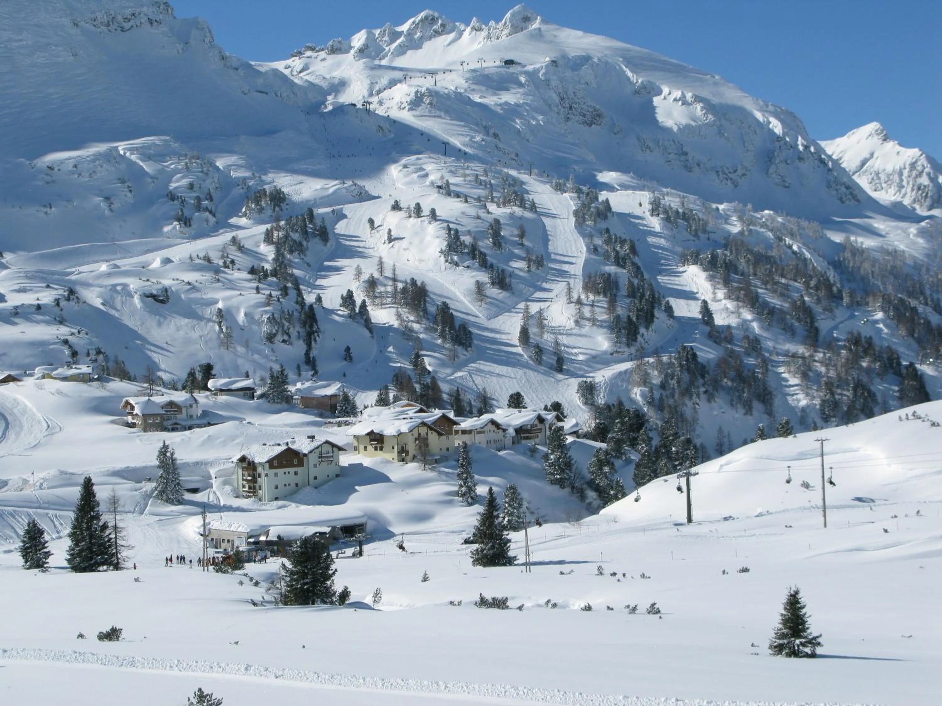 Area and facilities in Hotel Alpenland