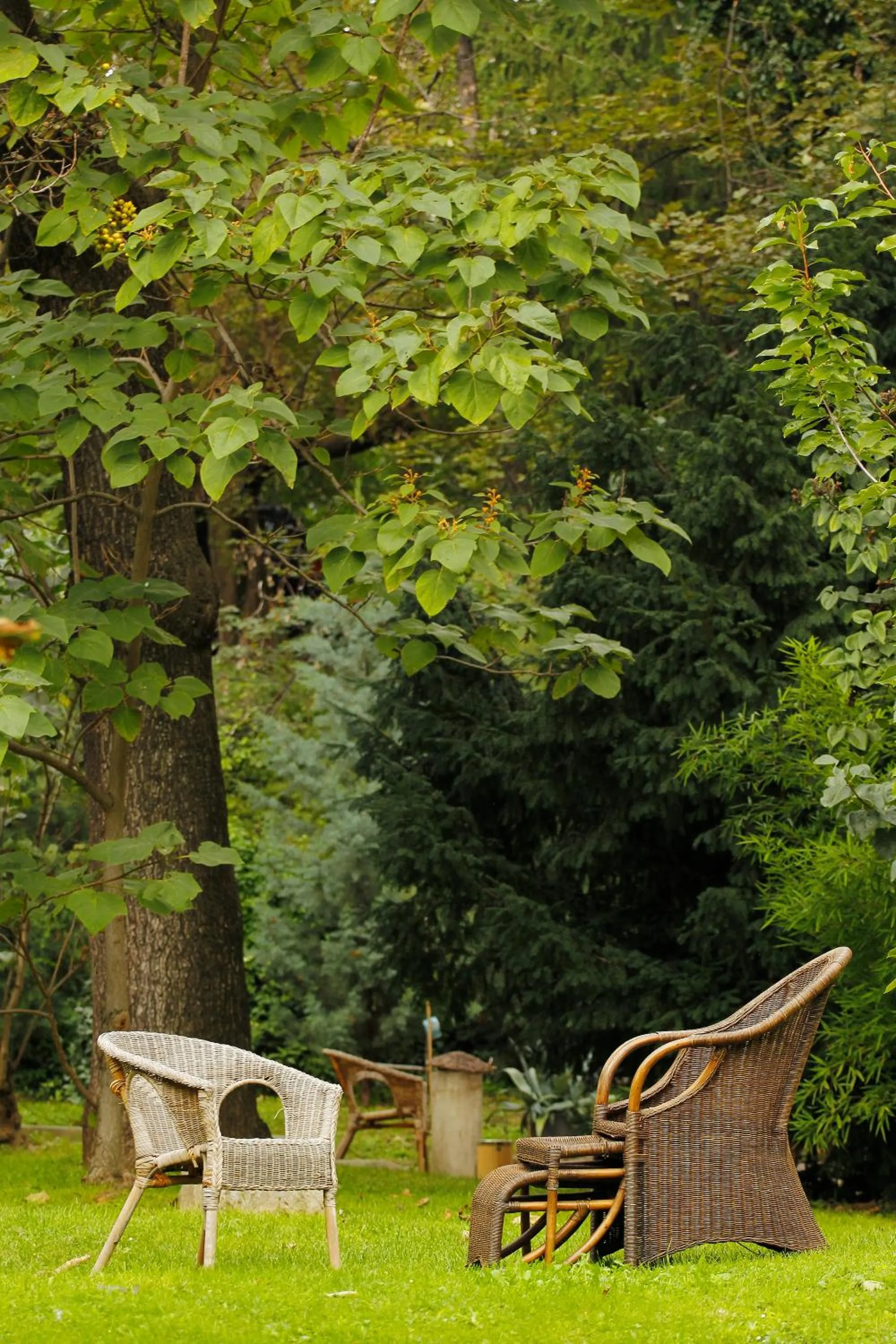 Garden in Kalmár Panzió
