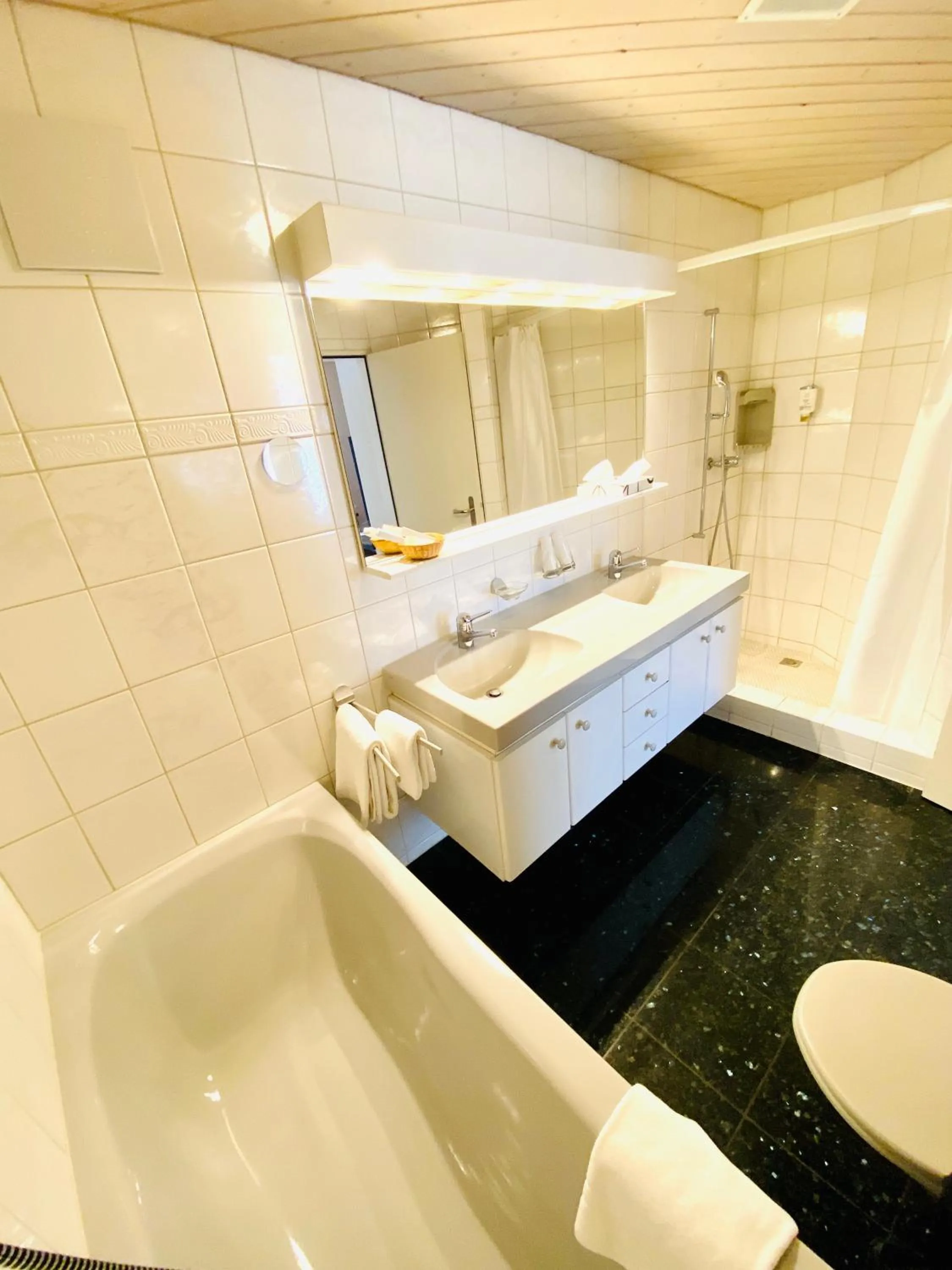 Bathroom in Gasthof Kreuz Egerkingen