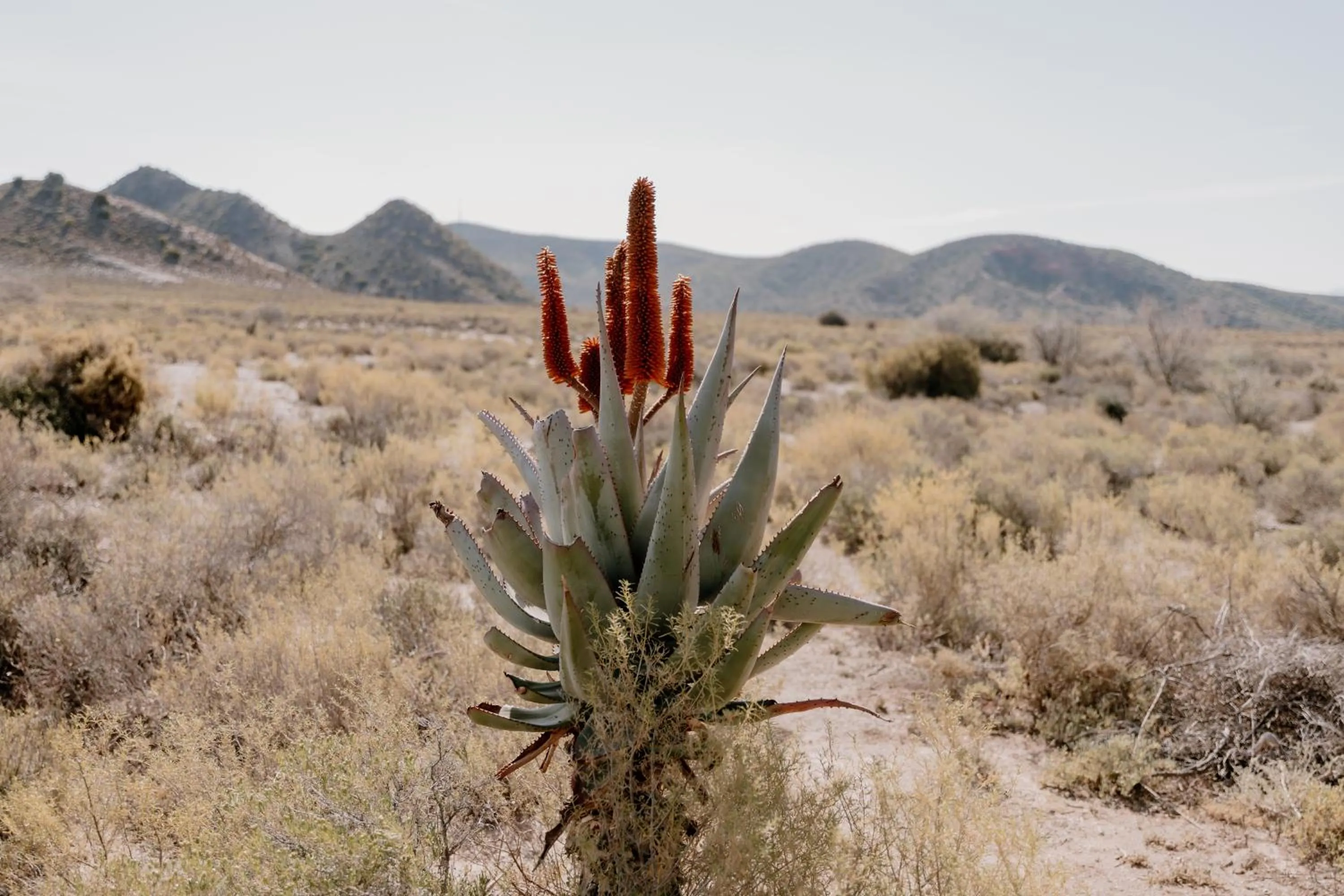 Property building in Chandelier Game Lodge