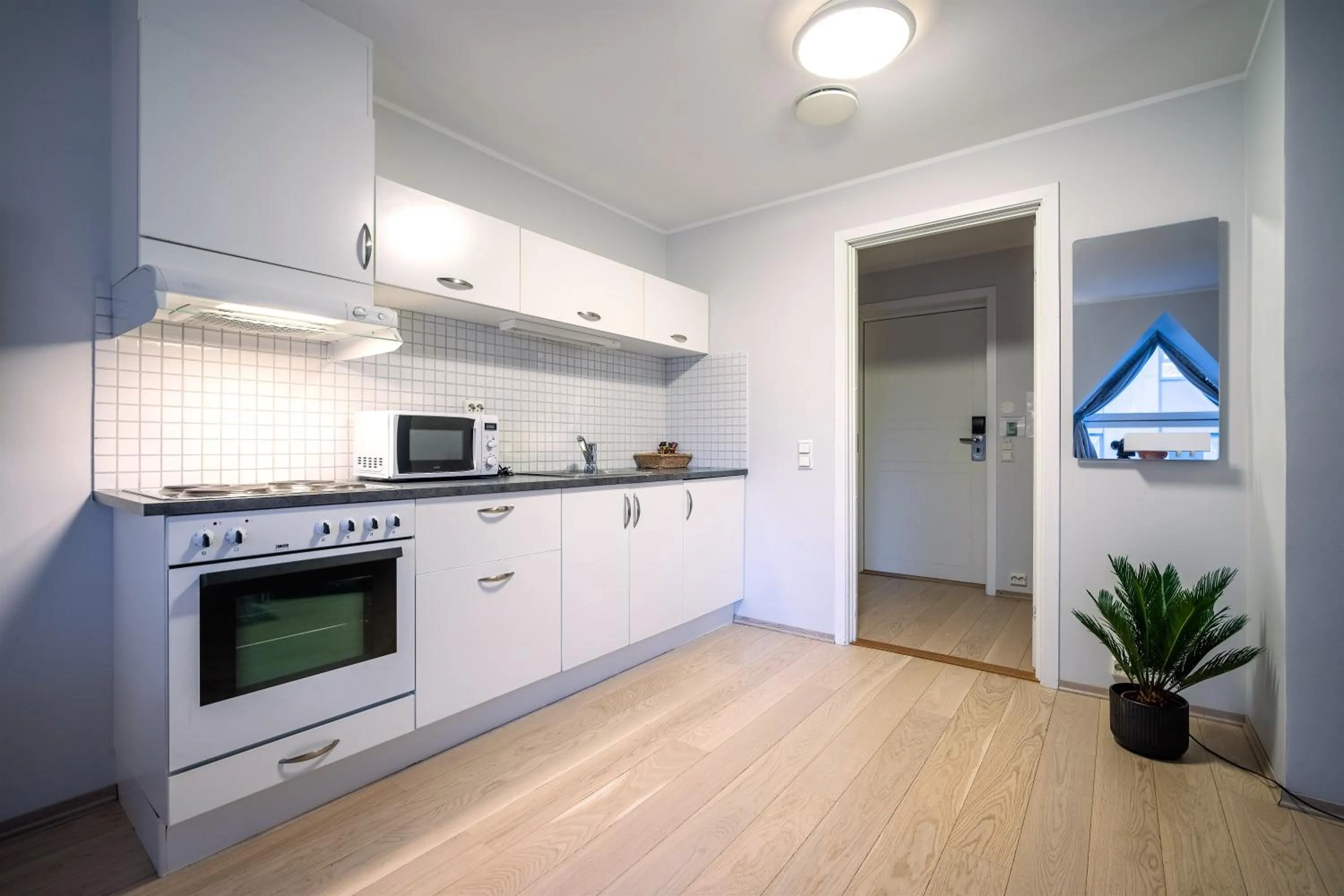 Kitchen or kitchenette in Enter City Hotel