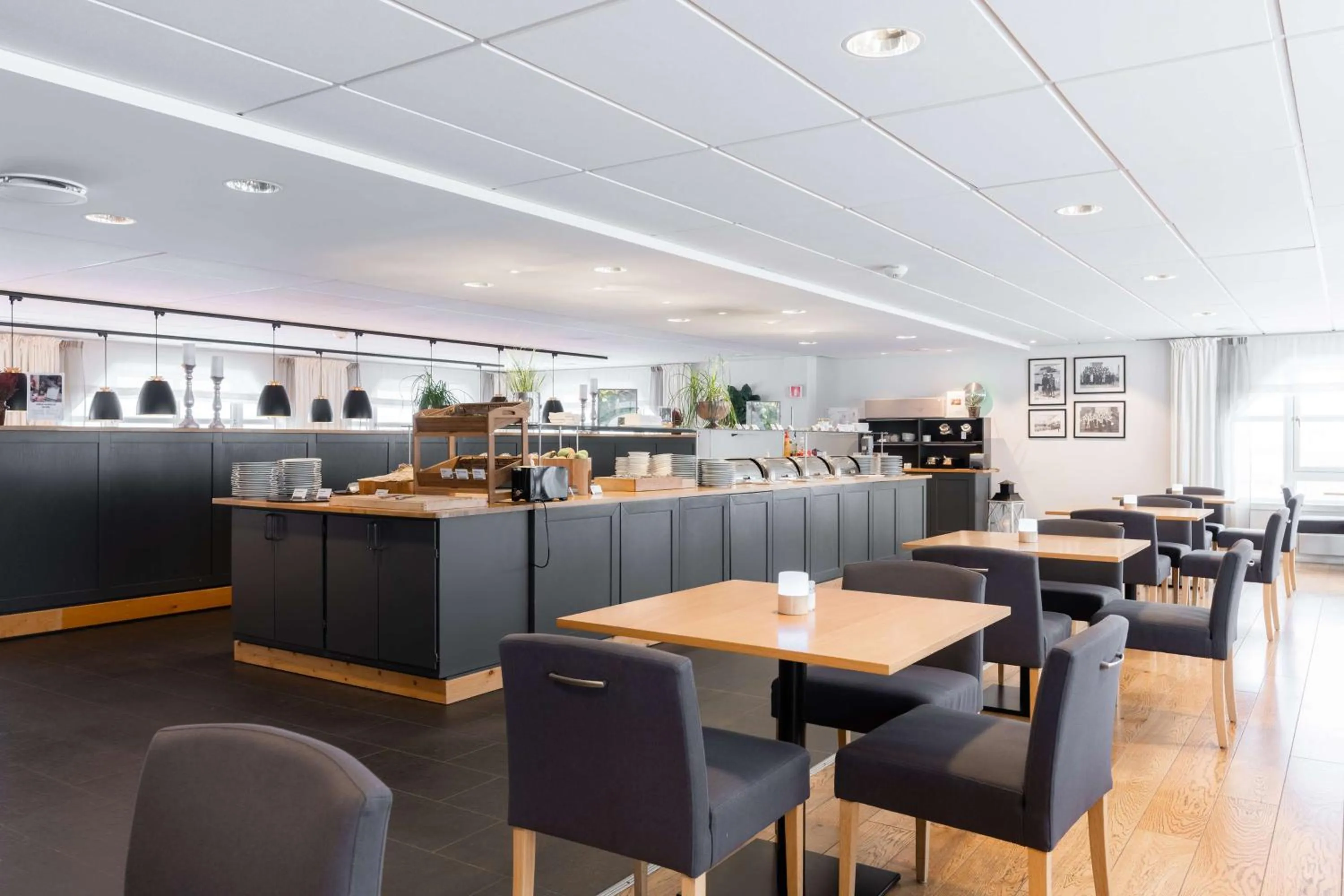 Restaurant/places to eat in Scandic Bryggen