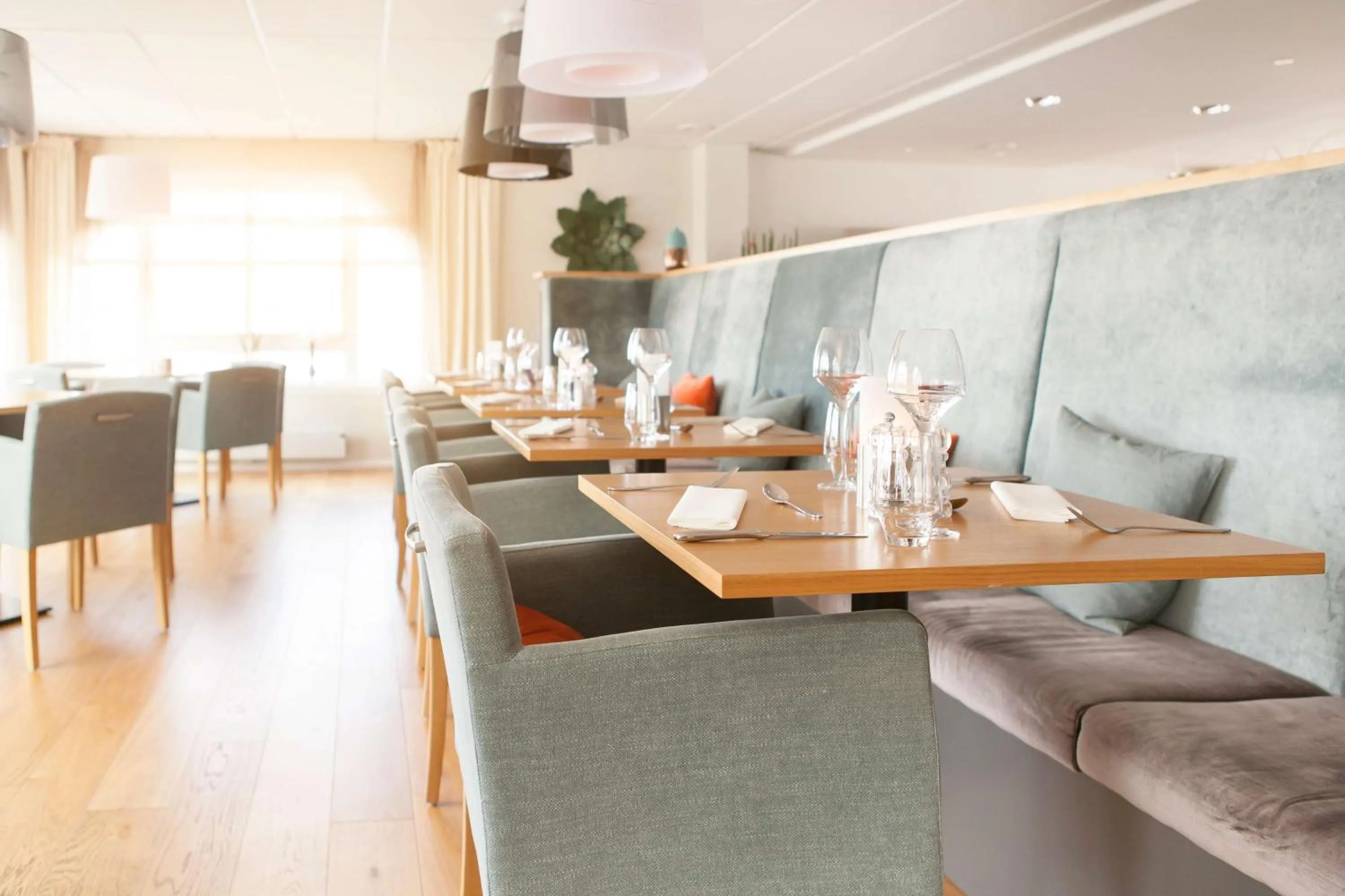 Restaurant/places to eat in Scandic Bryggen