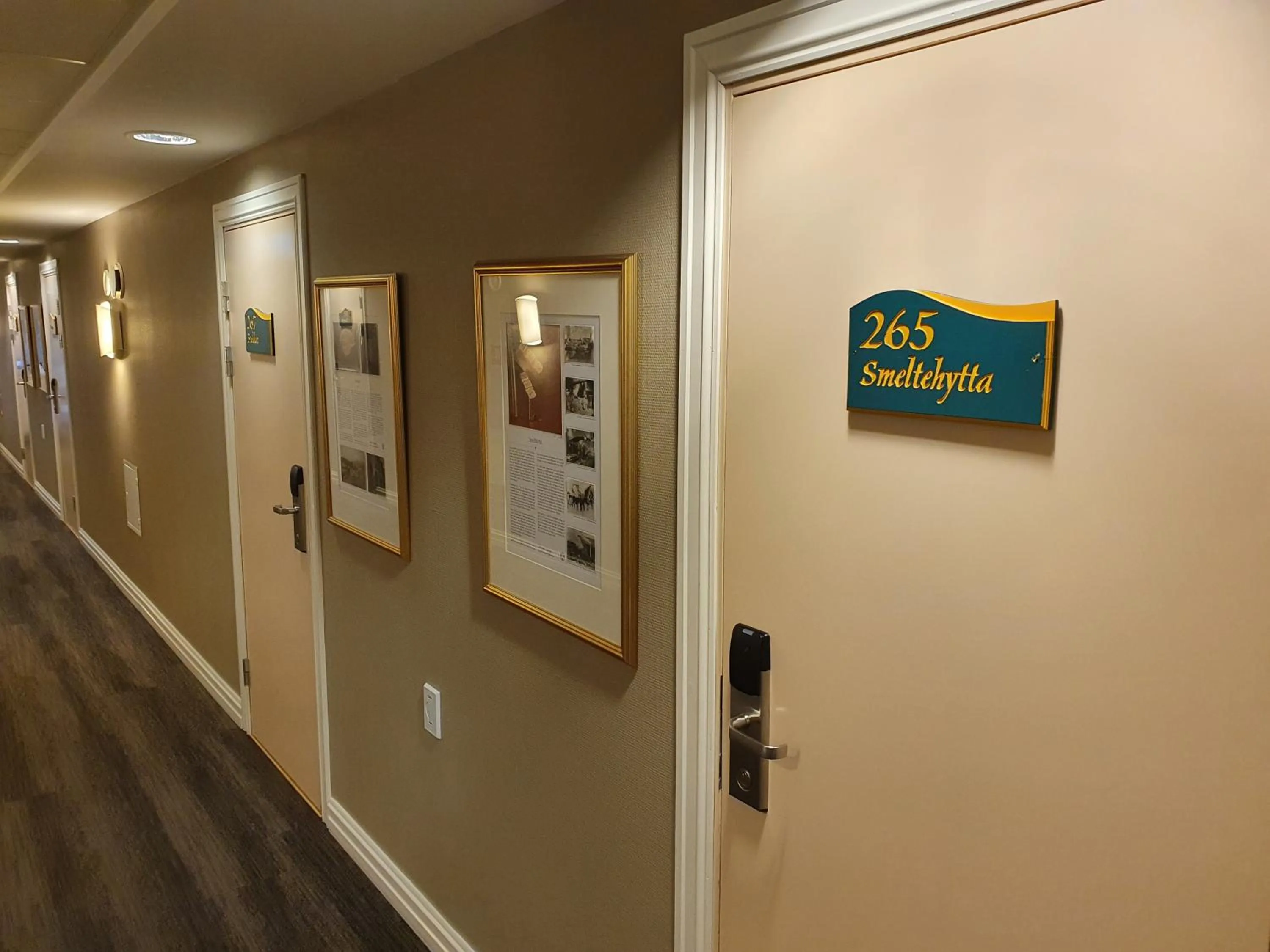 Area and facilities in Røros Hotell - Bad & Velvære