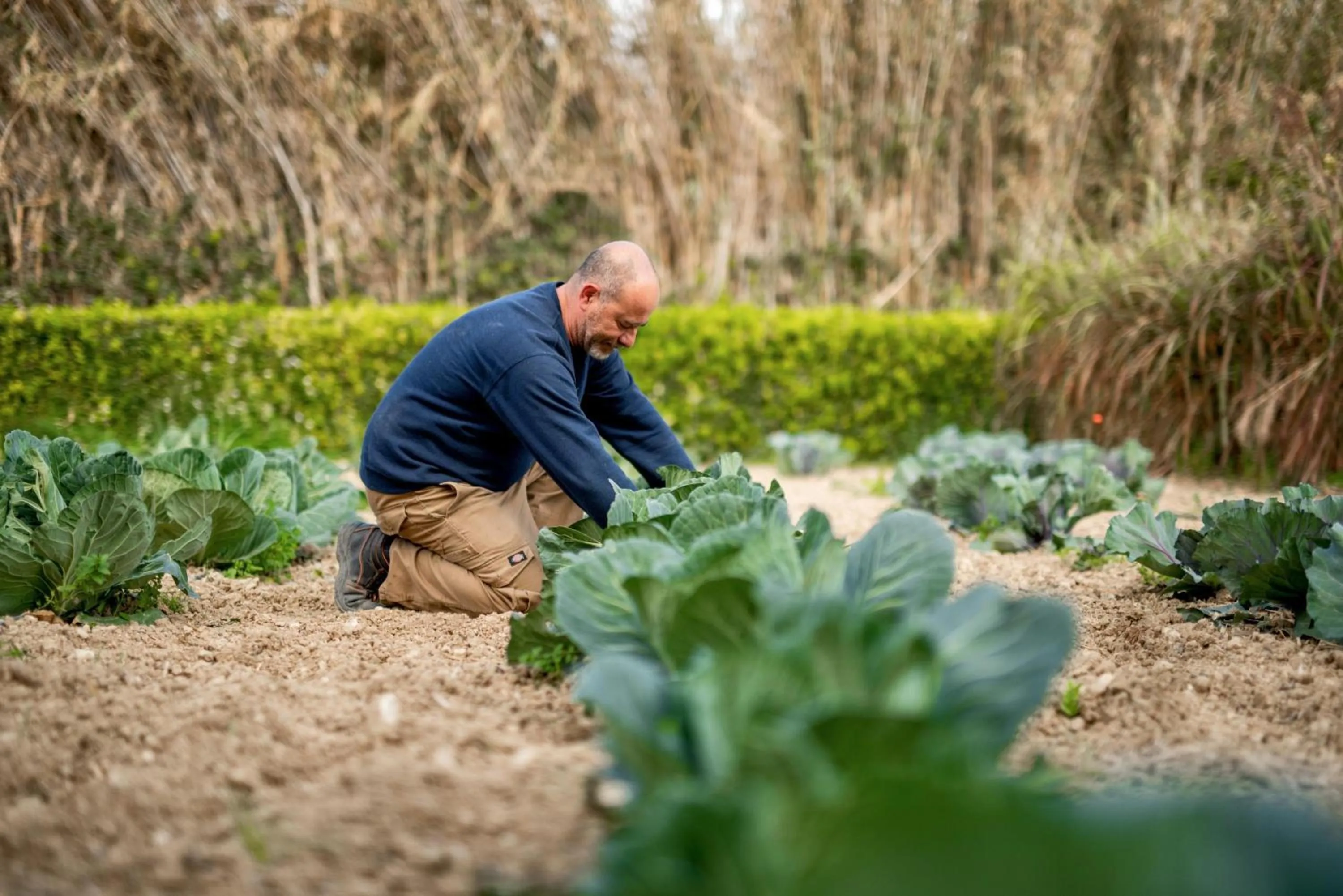 Property building in Kempinski Hotel San Lawrenz