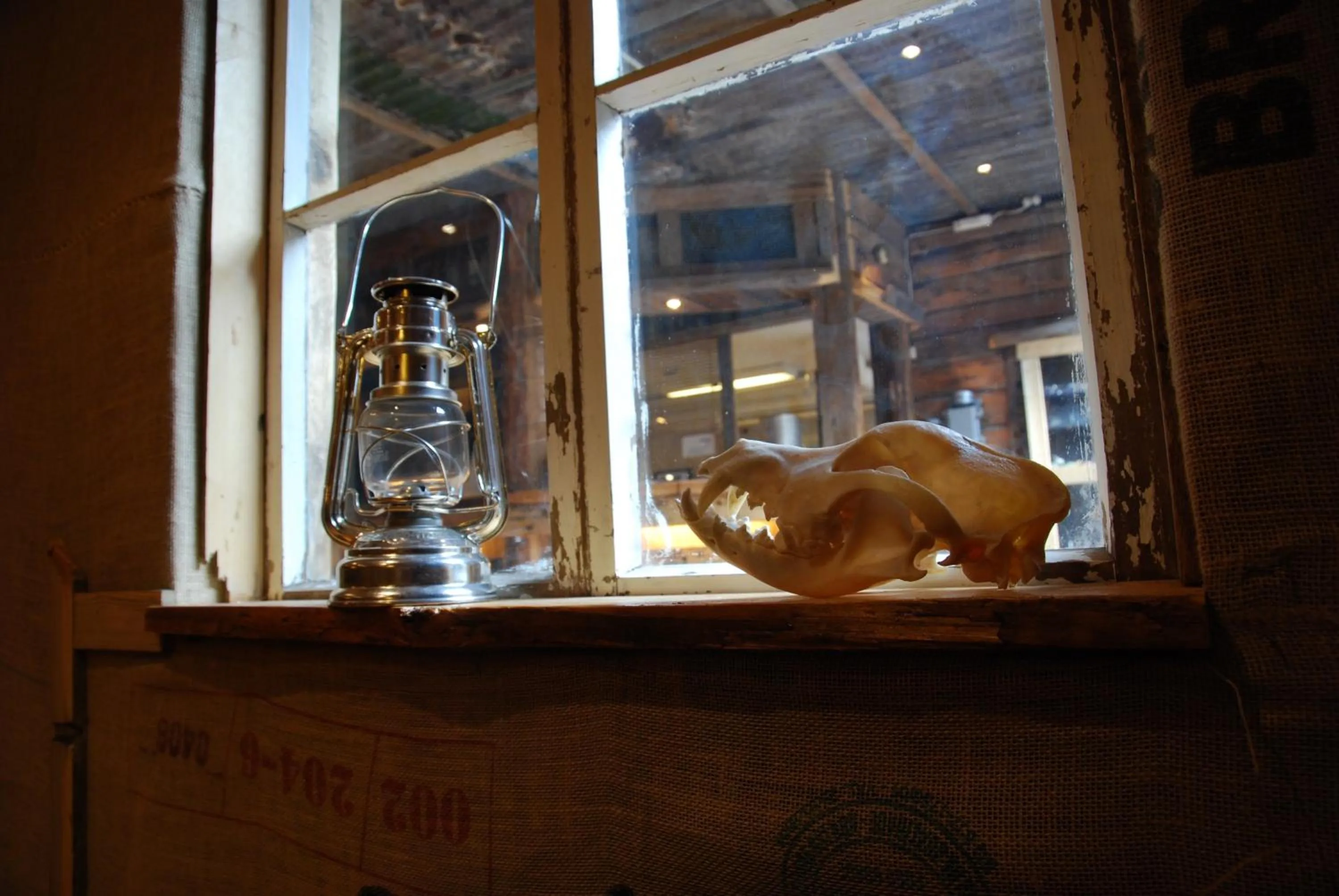 Library in Basecamp Hotel