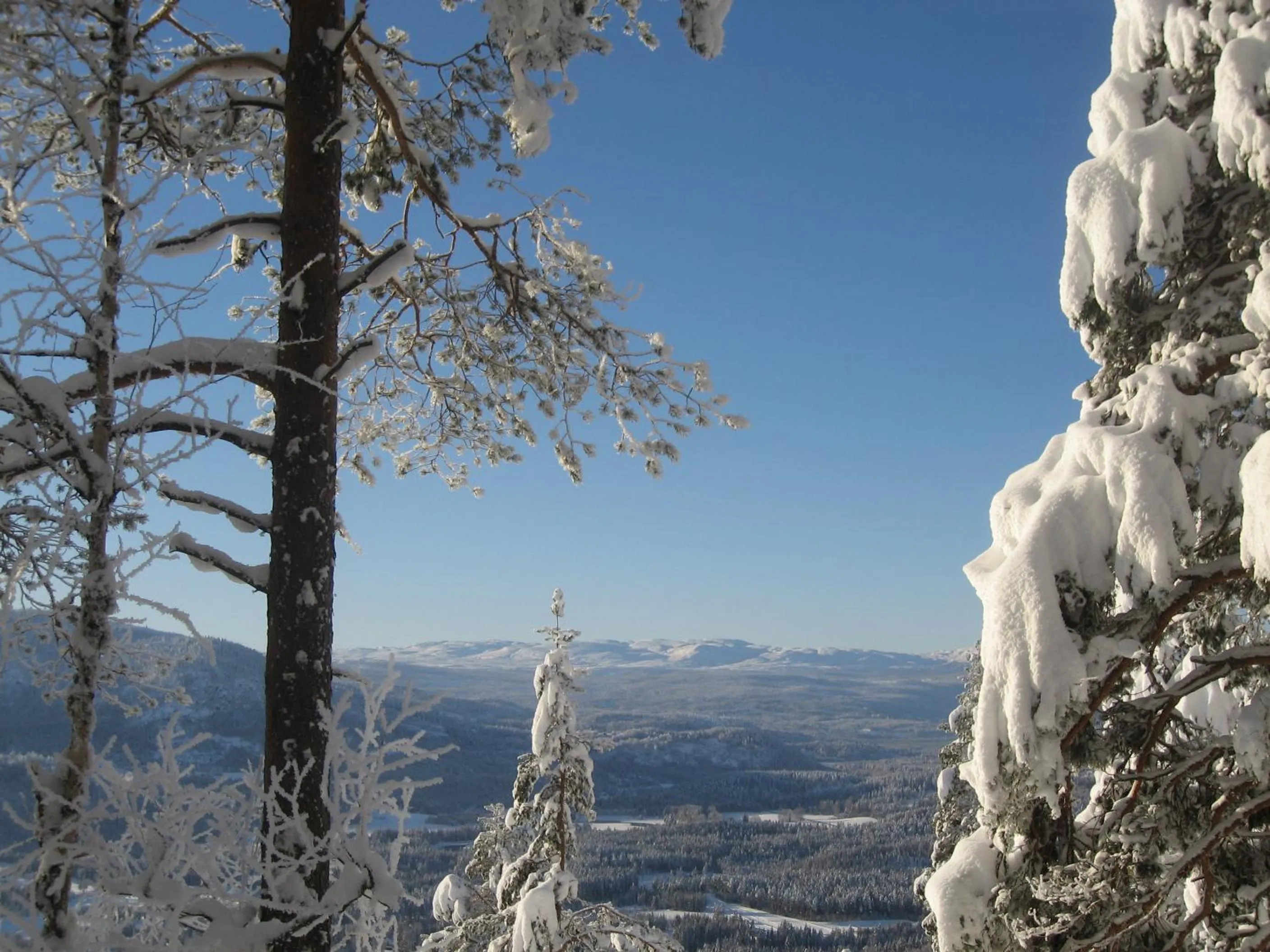 Neighbourhood in Lampeland Hotel