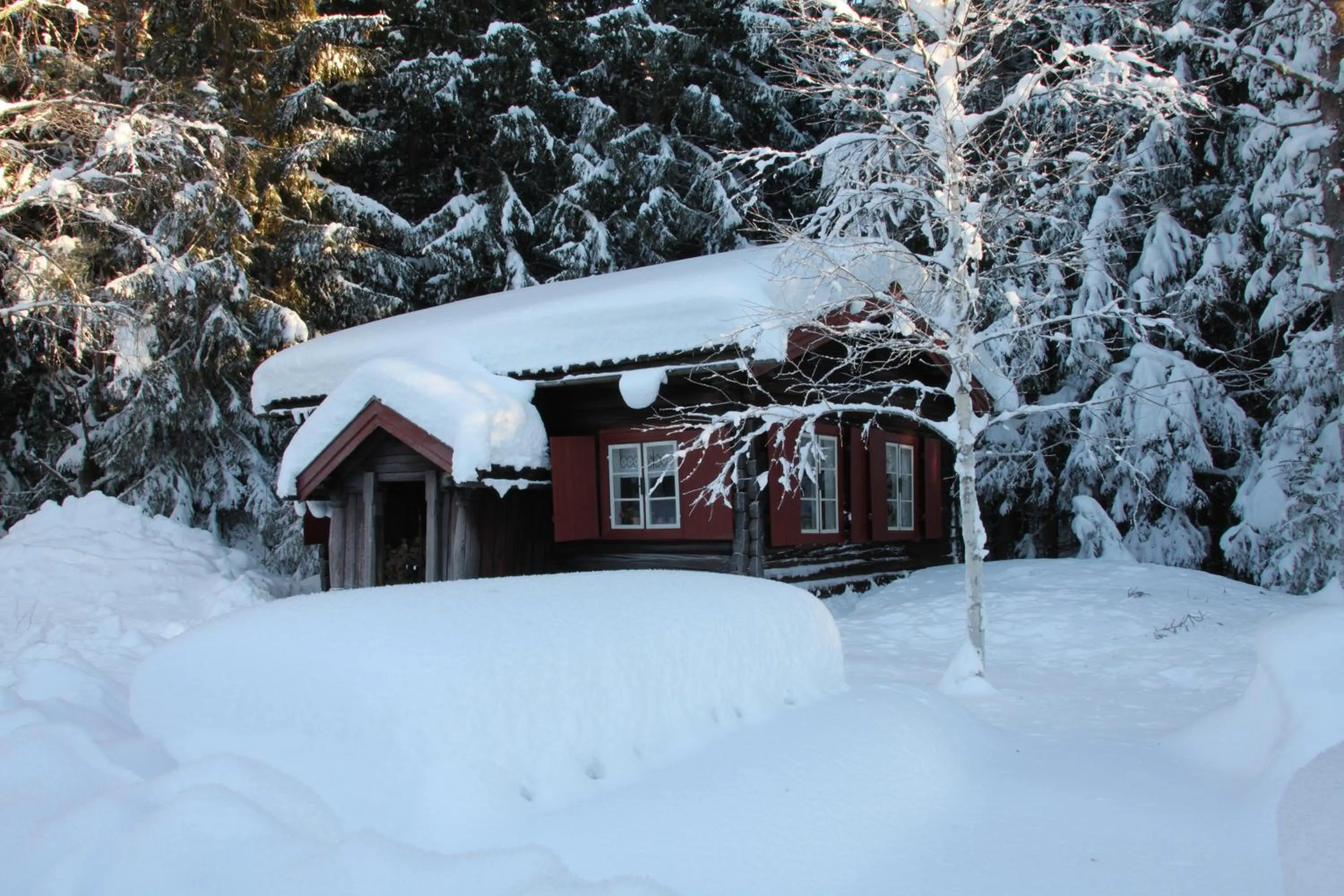 Neighbourhood in Lampeland Hotel