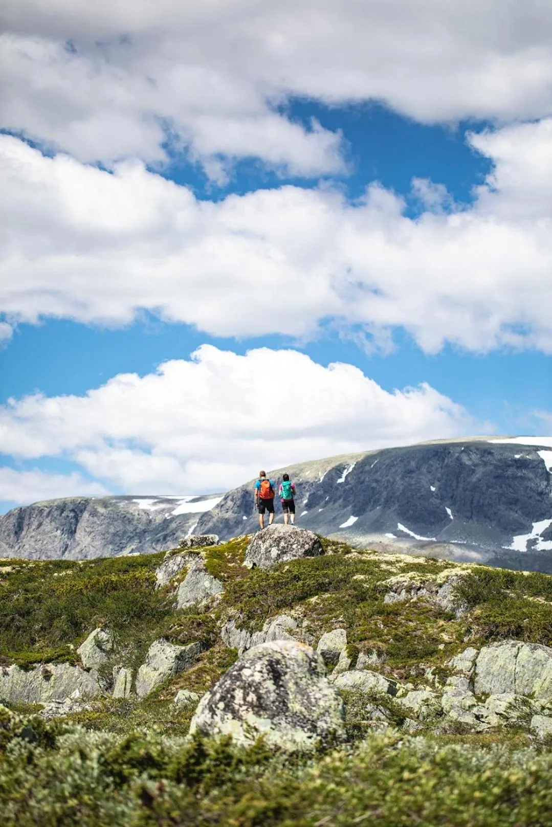 Nearby landmark in Vestlia Resort
