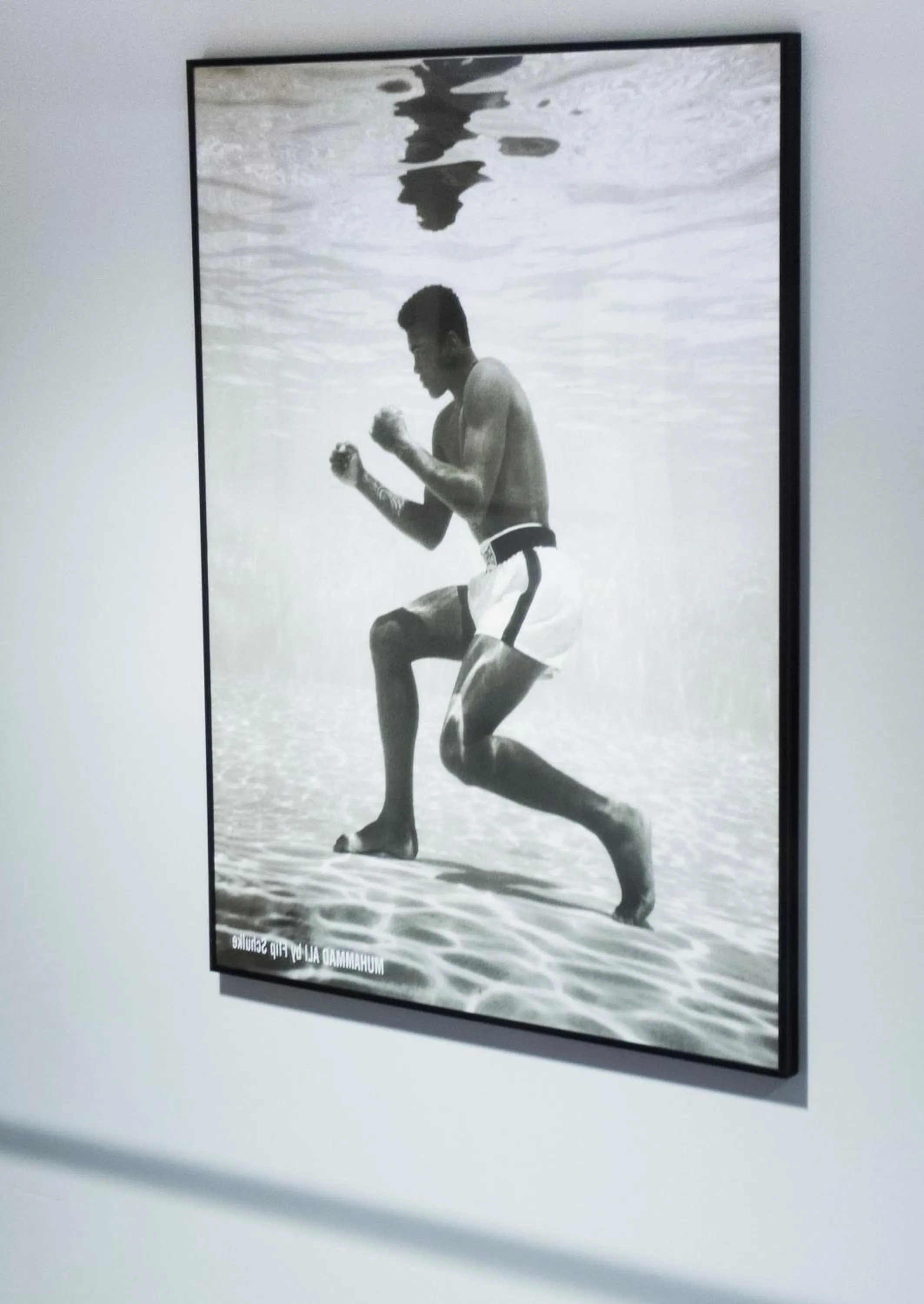 Decorative detail in Home Hotel Park