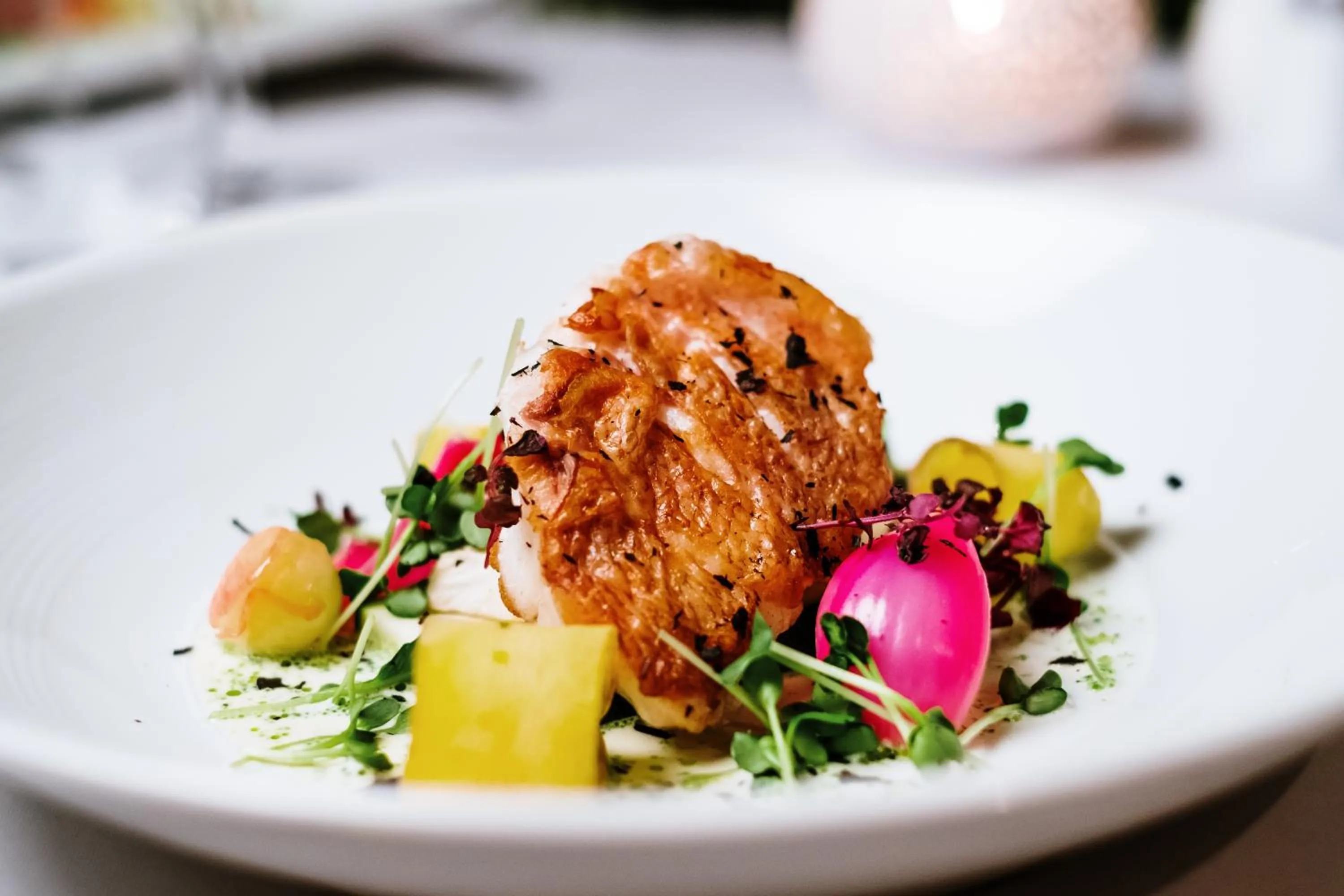 Food and drinks in Kragerø Resort