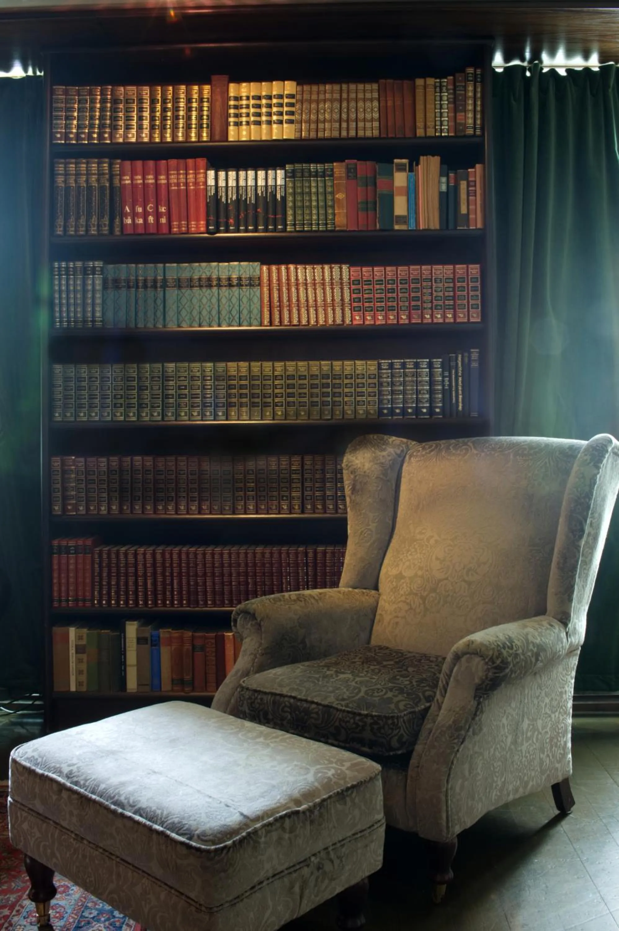 Library in Seljord Hotel - Unike Hoteller