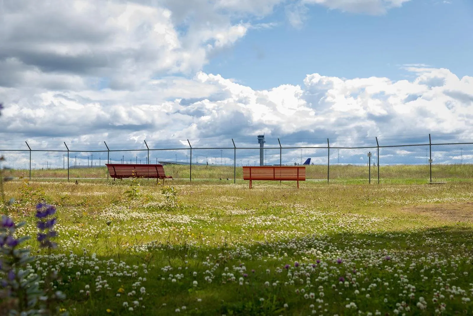 Neighbourhood in Comfort Hotel RunWay