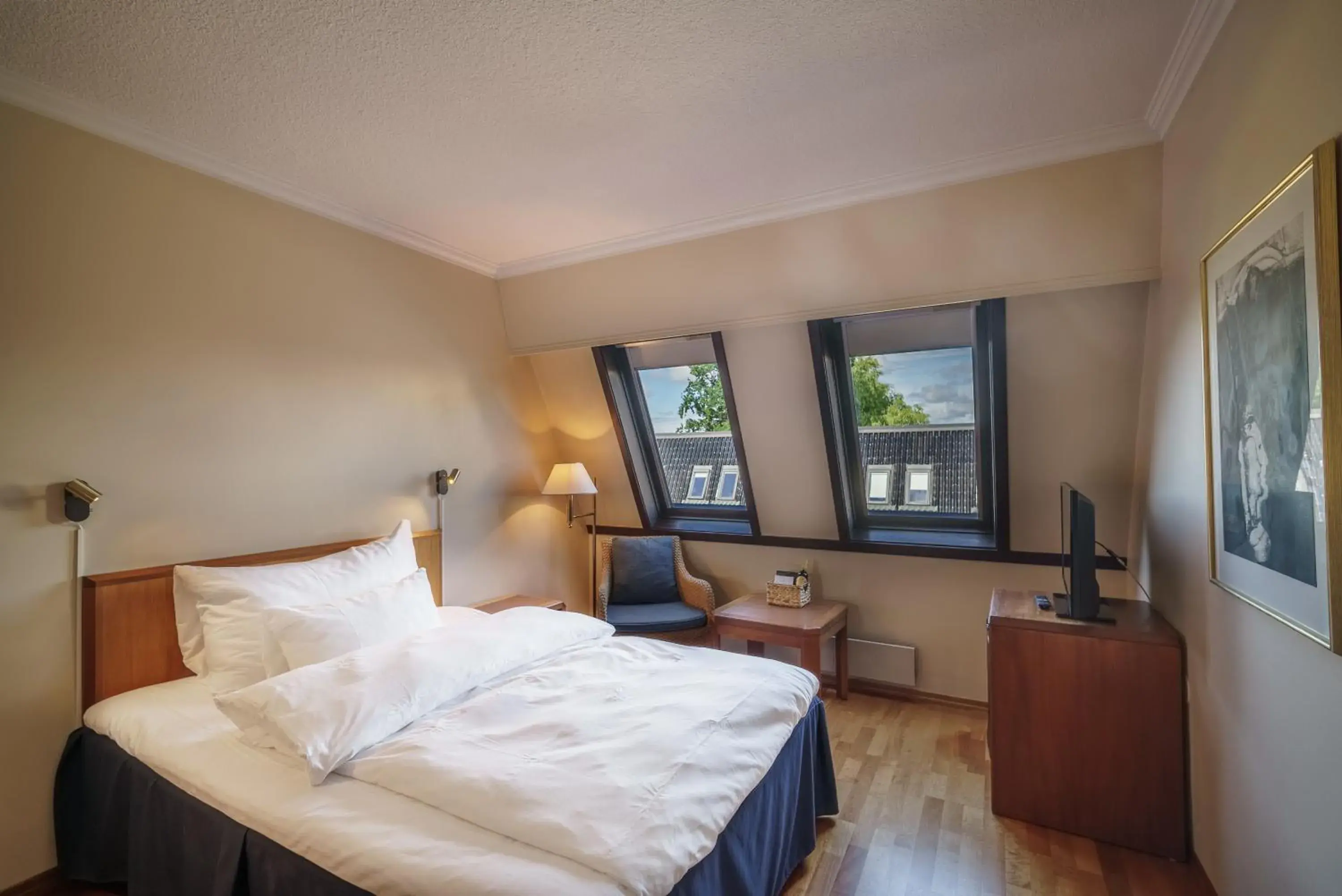 Single Room in Hotel Refsnes Gods - by Classic Norway Hotels Single Room in Hotel Refsnes Gods - by Classic Norway Hotels