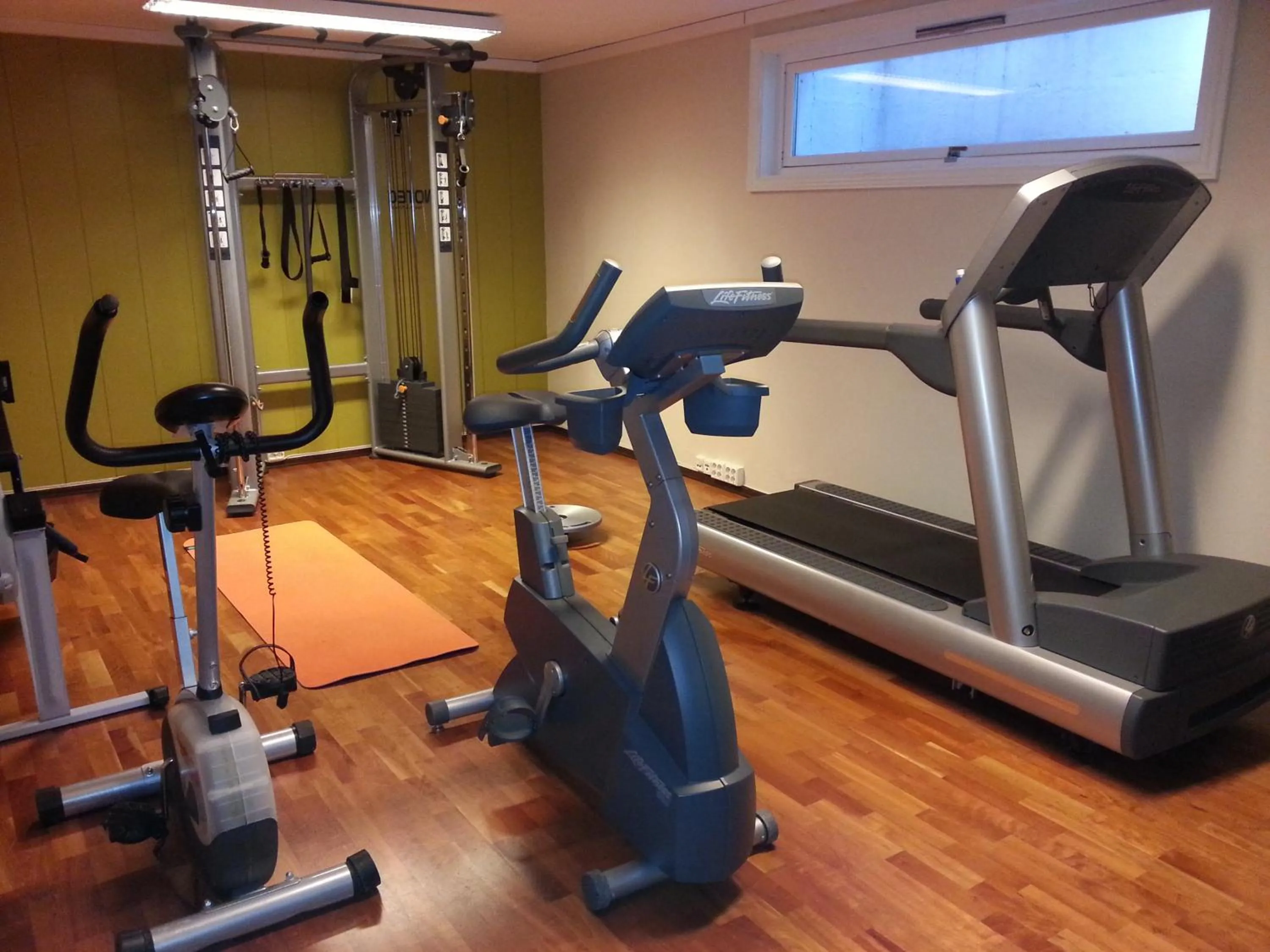 Fitness centre/facilities in Hotel Refsnes Gods - by Classic Norway Hotels