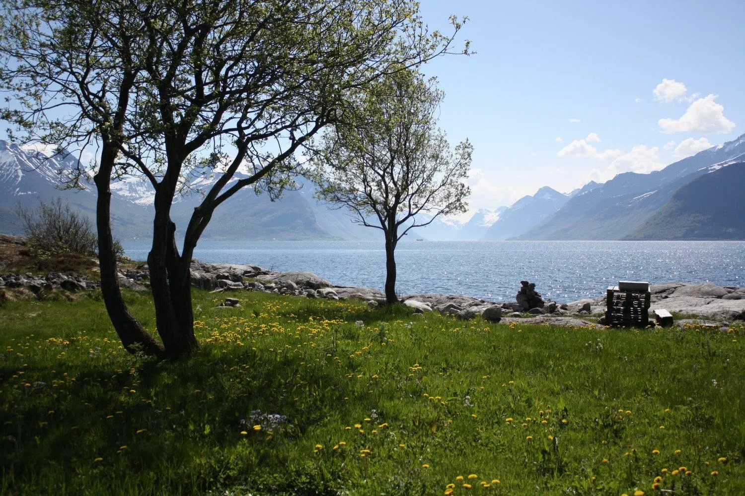 Day in Sunde Fjord Hotel, free and easy parking