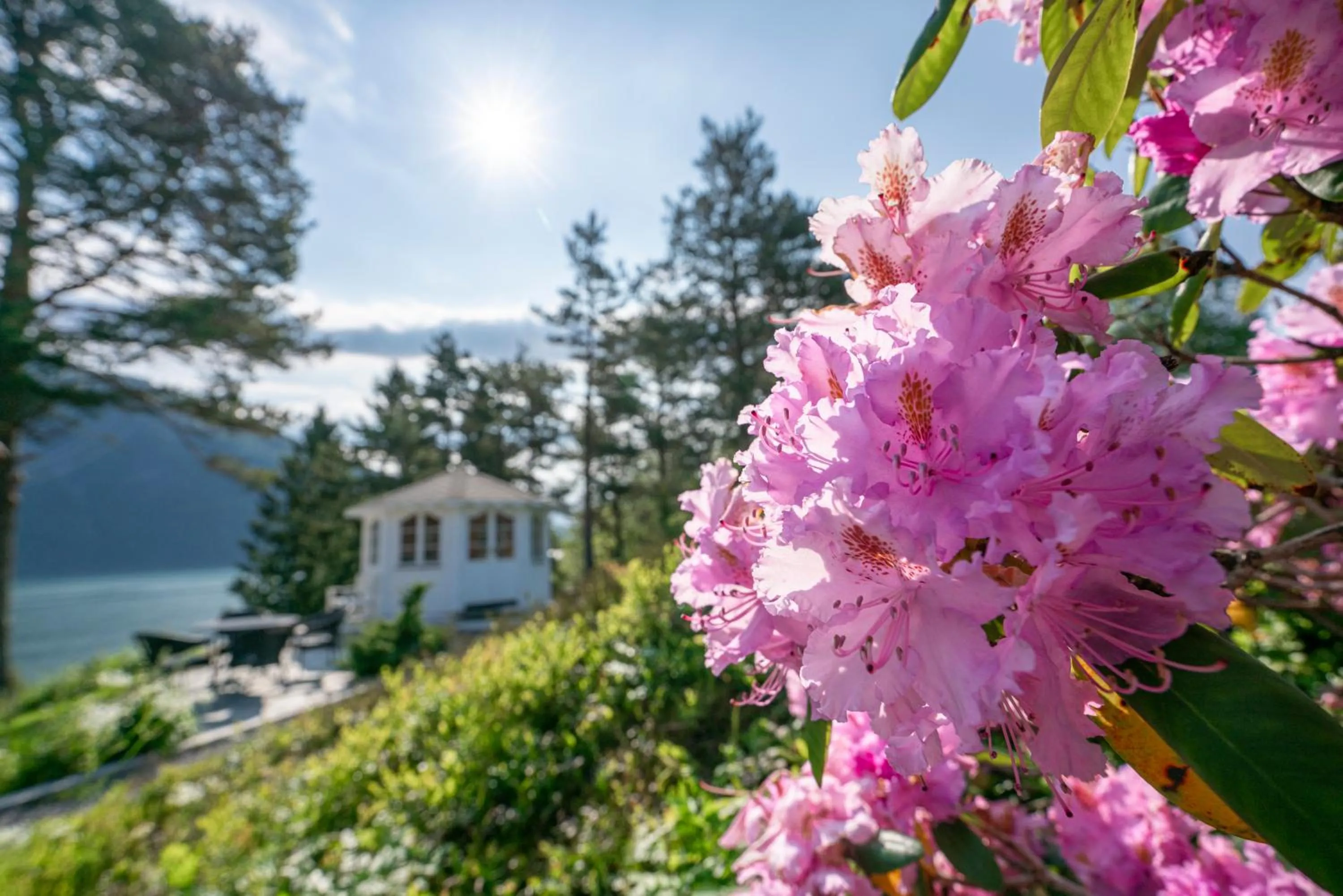 Spring in Dragsvik Fjordhotel