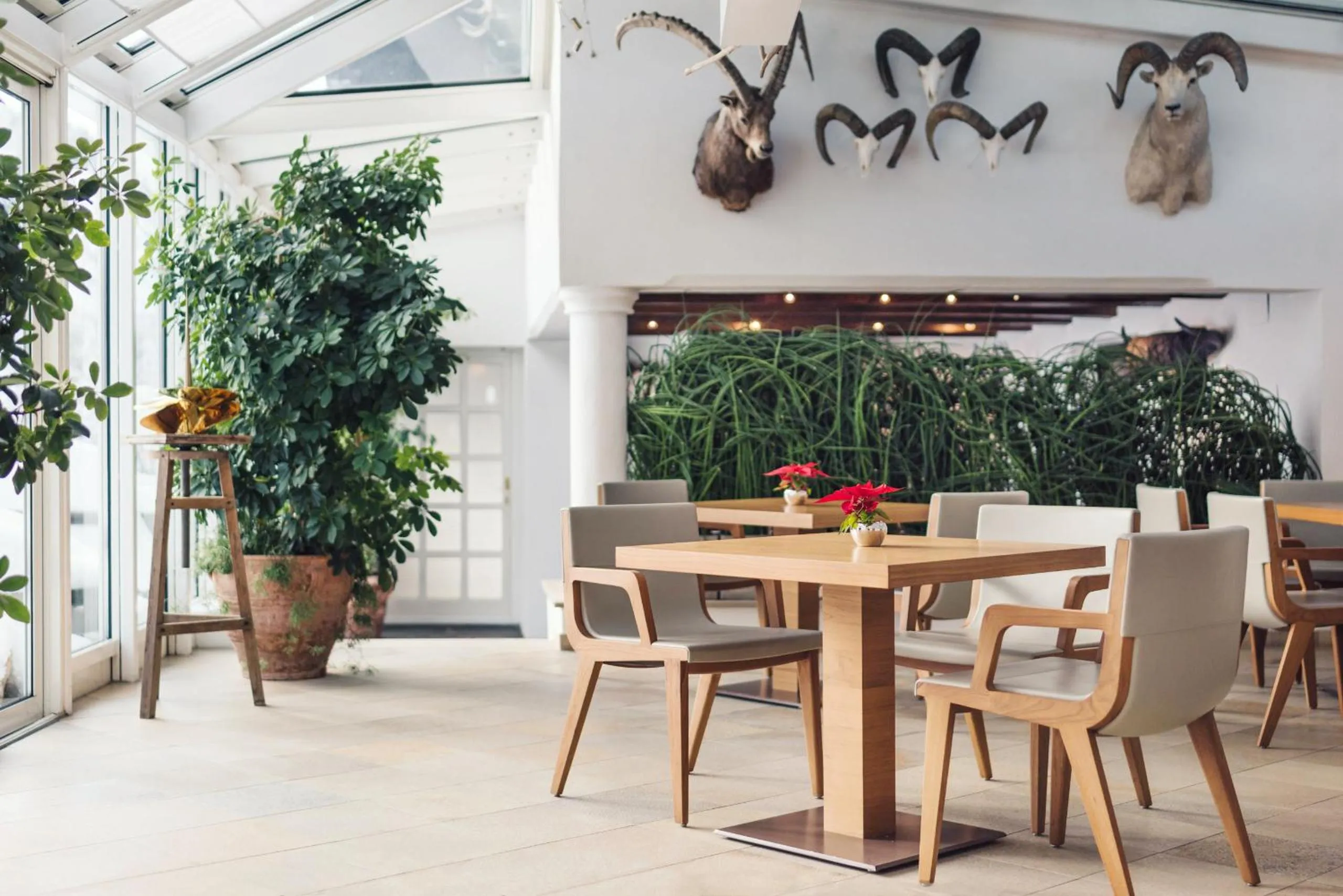 Restaurant/places to eat in Hinterwies – Ski In / Lodge / Dine