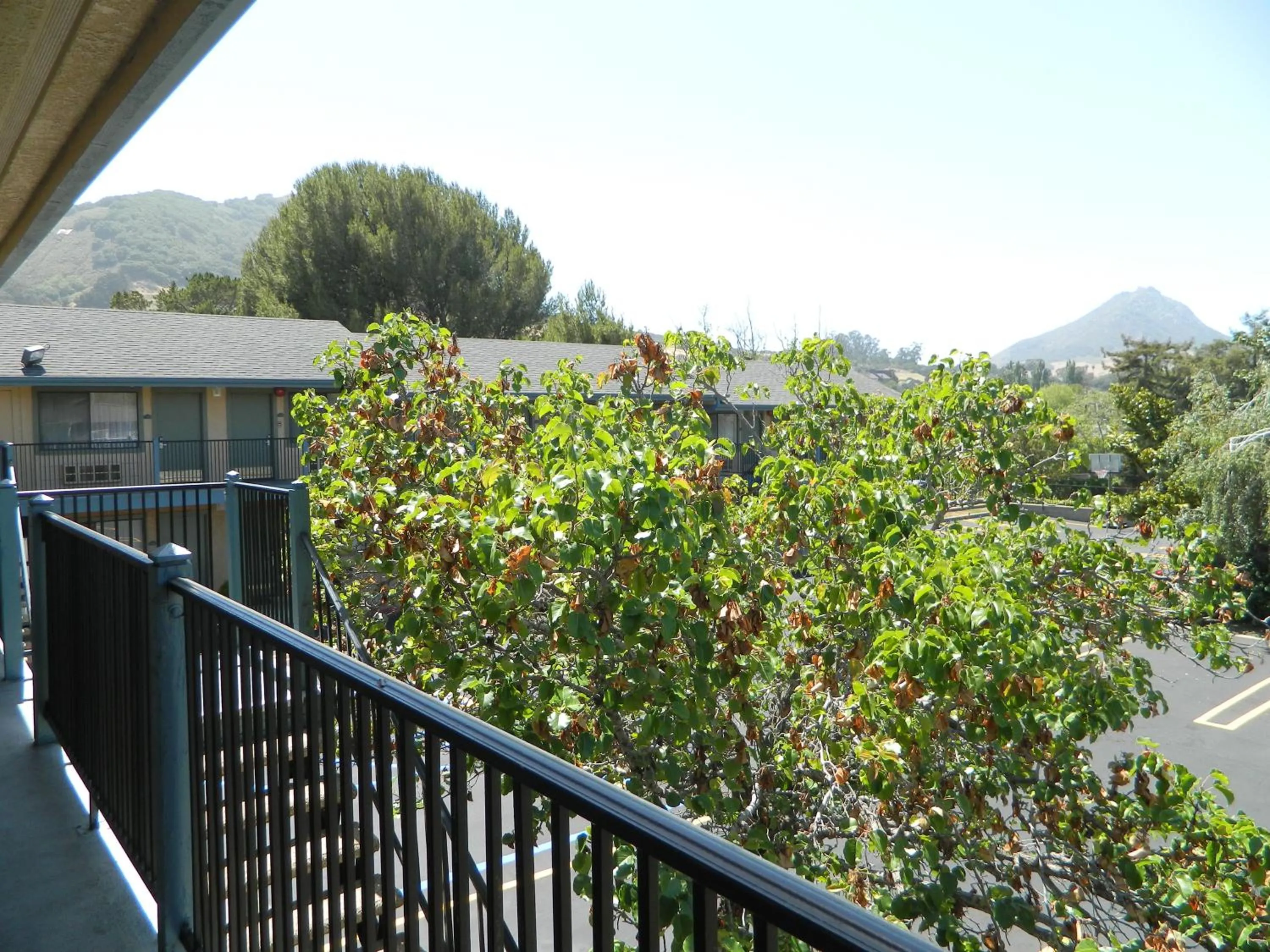 Mountain view in DOWNTOWN SLO INN - SAN LUIS OBISPO