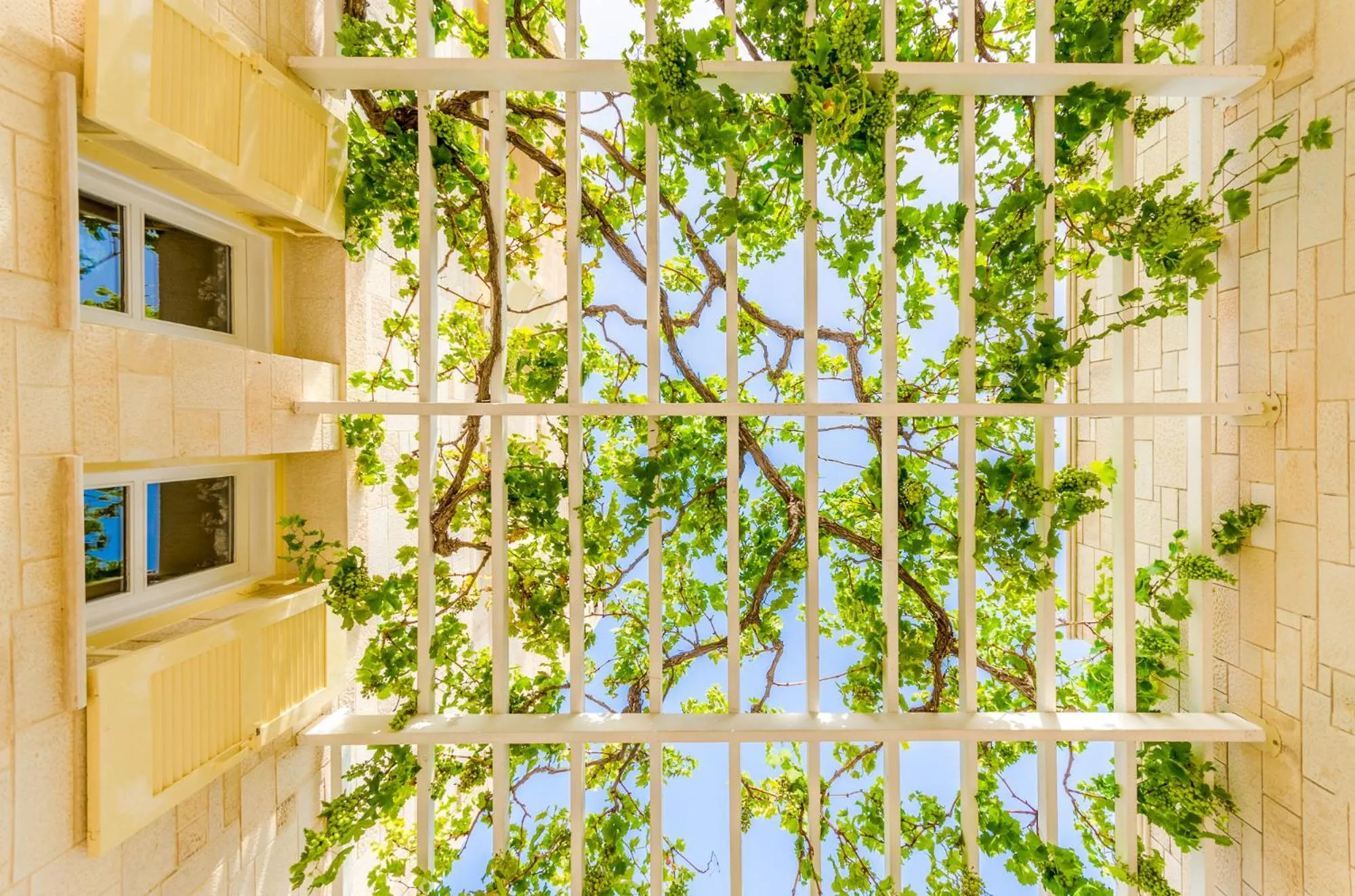 Balcony/Terrace in Anna Maria Village