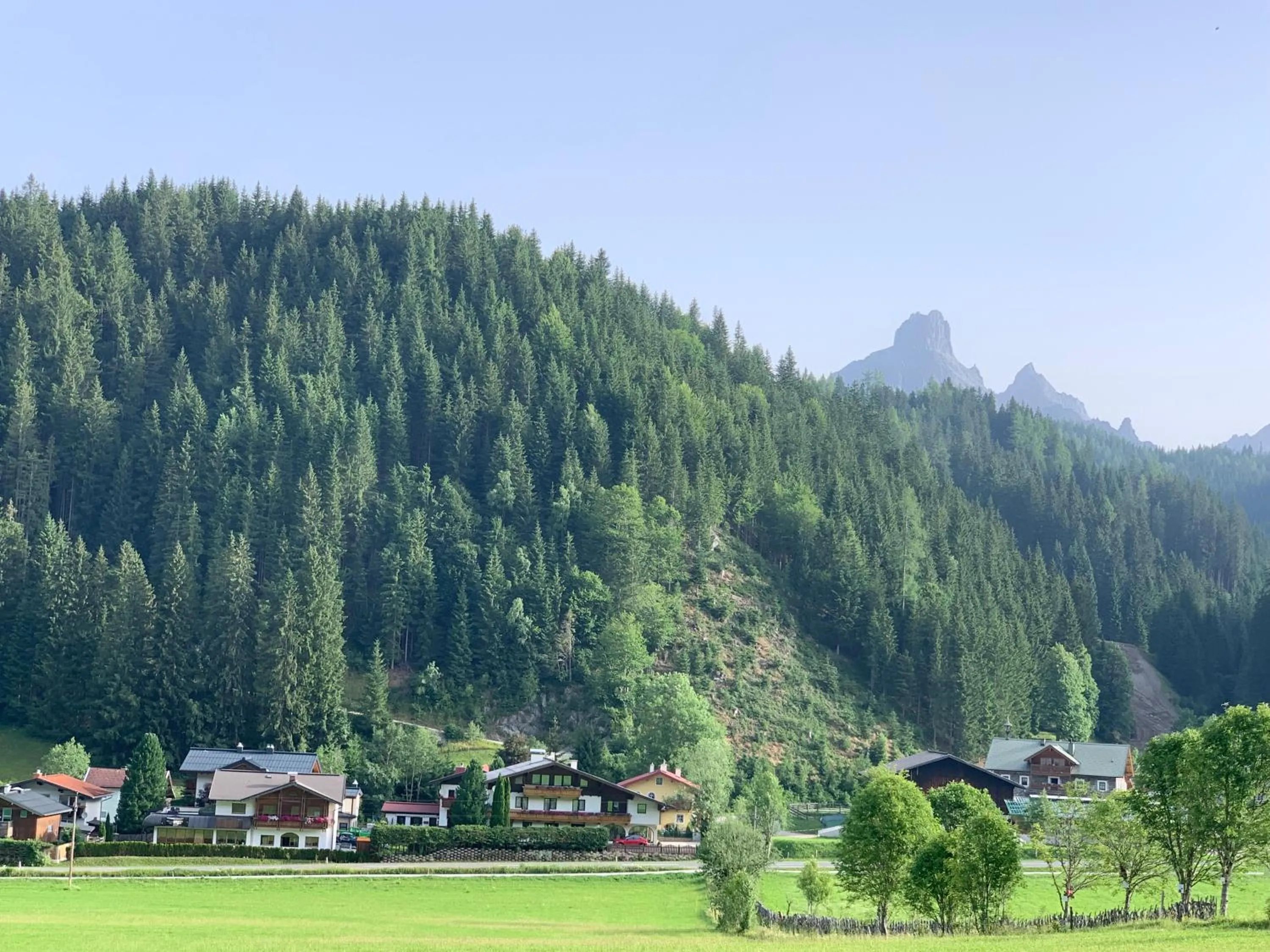 Property building in Die Filzmooserin - Apartments in Filzmoos, Filzmoos Card inklusive