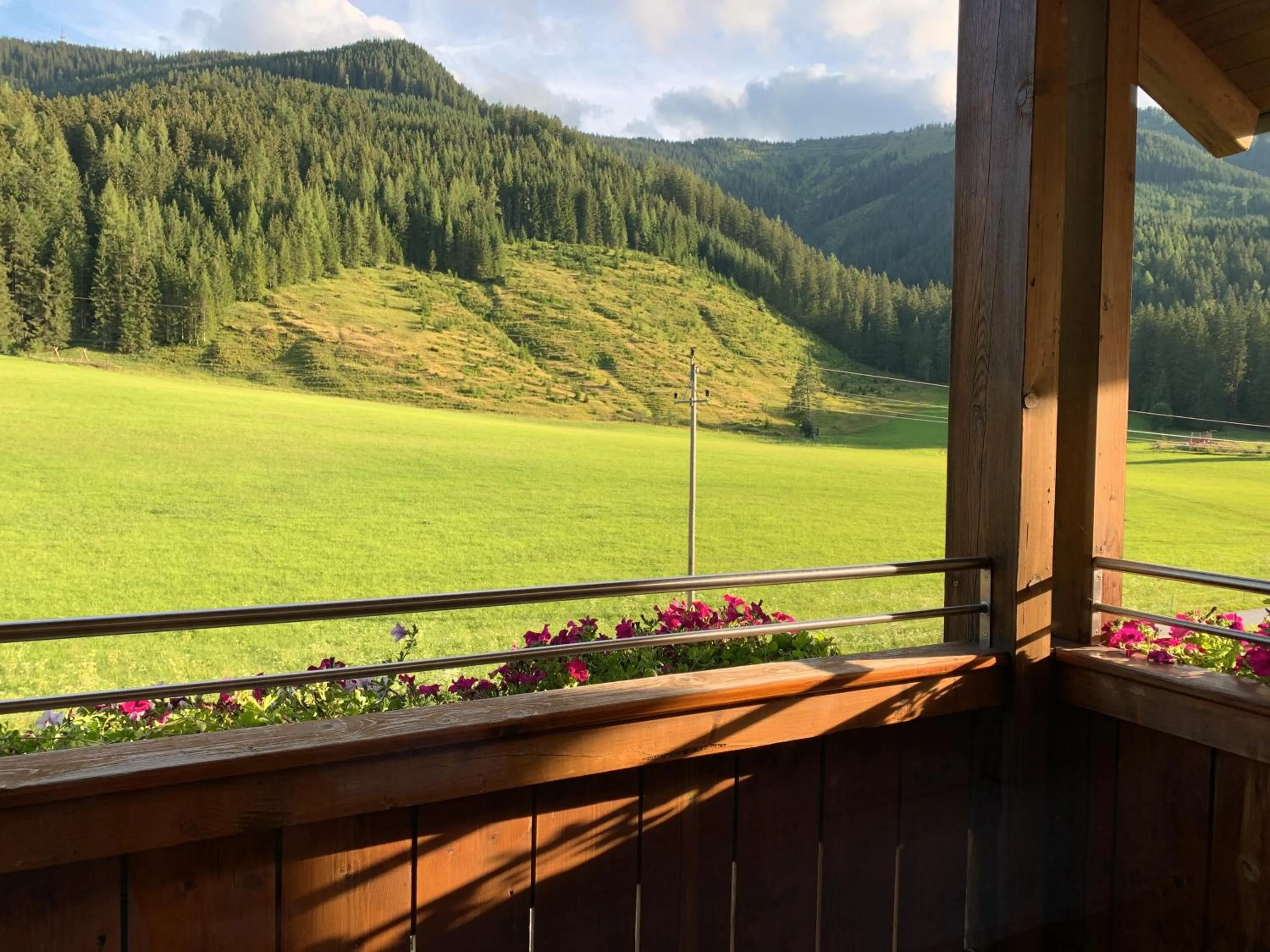 View (from property/room) in Die Filzmooserin - Apartments in Filzmoos, Filzmoos Card inklusive