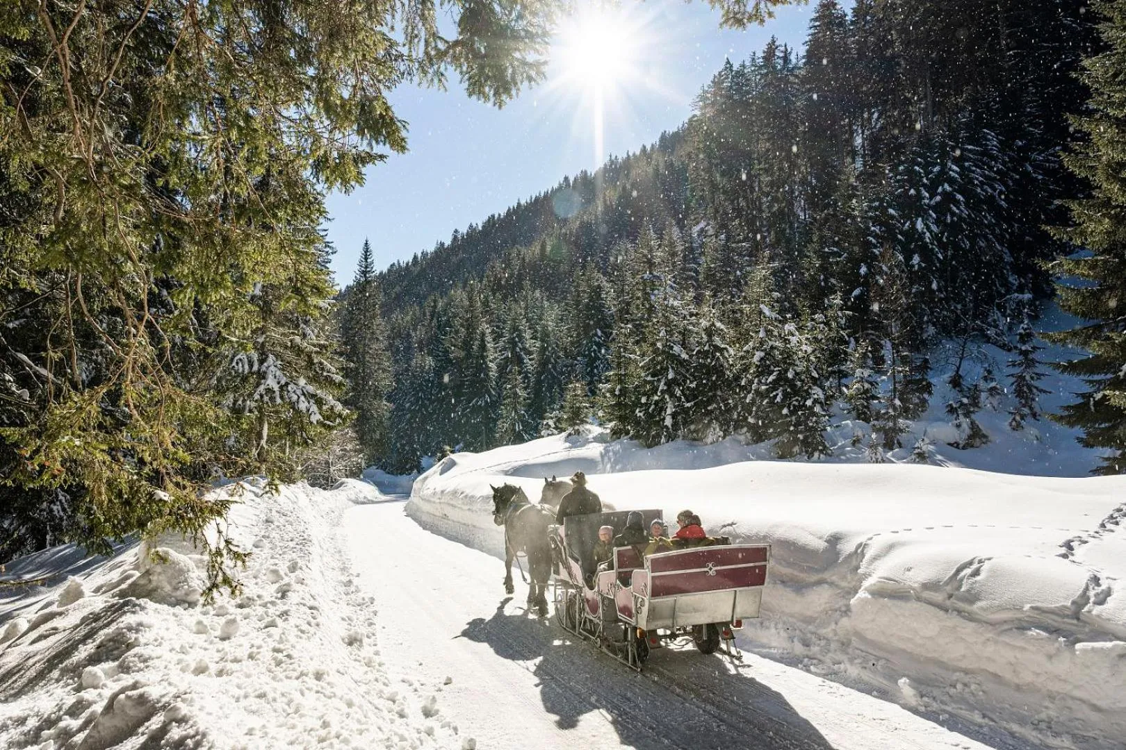 Winter in Die Filzmooserin - Apartments in Filzmoos, Filzmoos Card inklusive