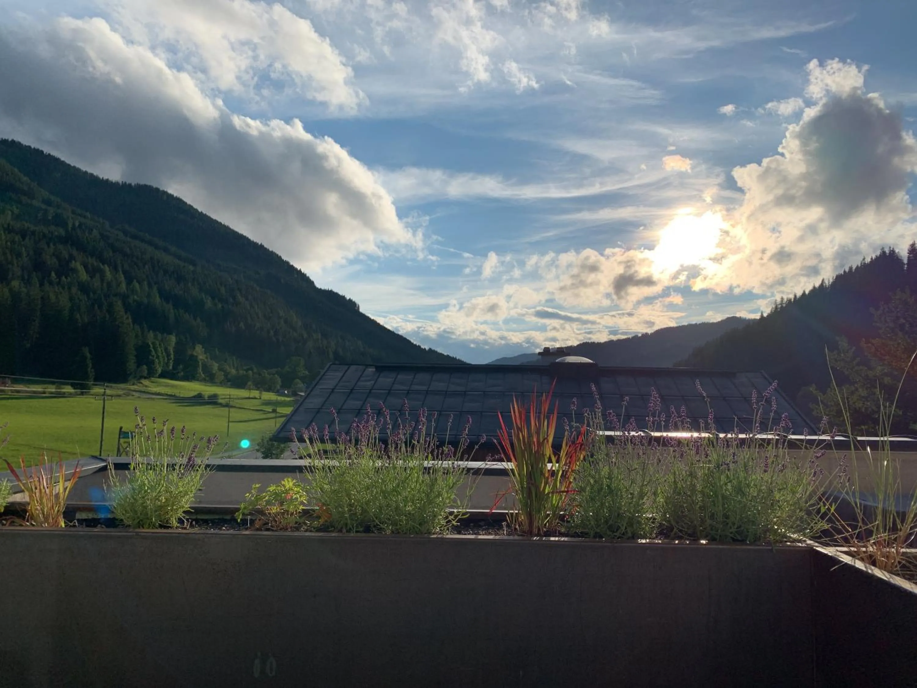 Garden in Die Filzmooserin - Apartments in Filzmoos, Filzmoos Card inklusive