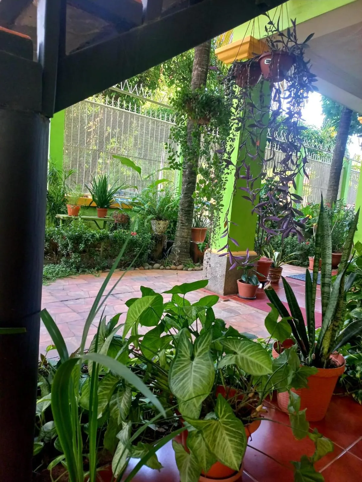 Garden in Hostal San Antonio