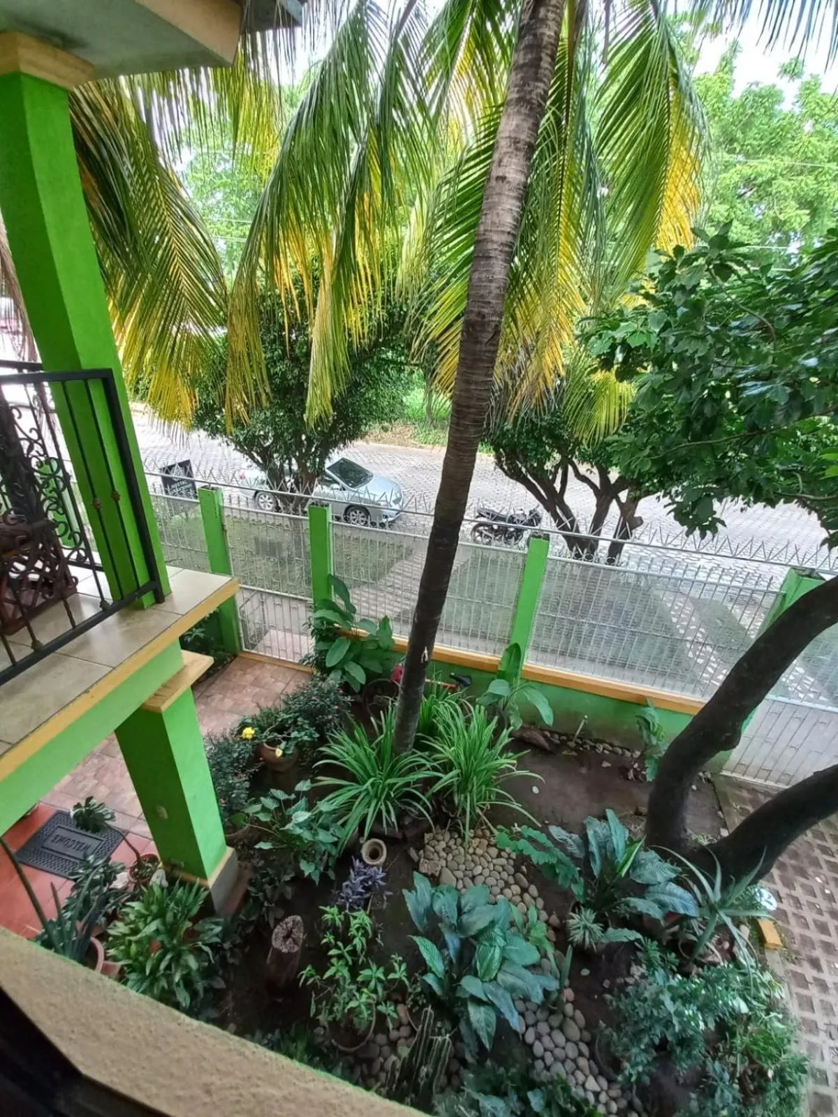 Garden view in Hostal San Antonio