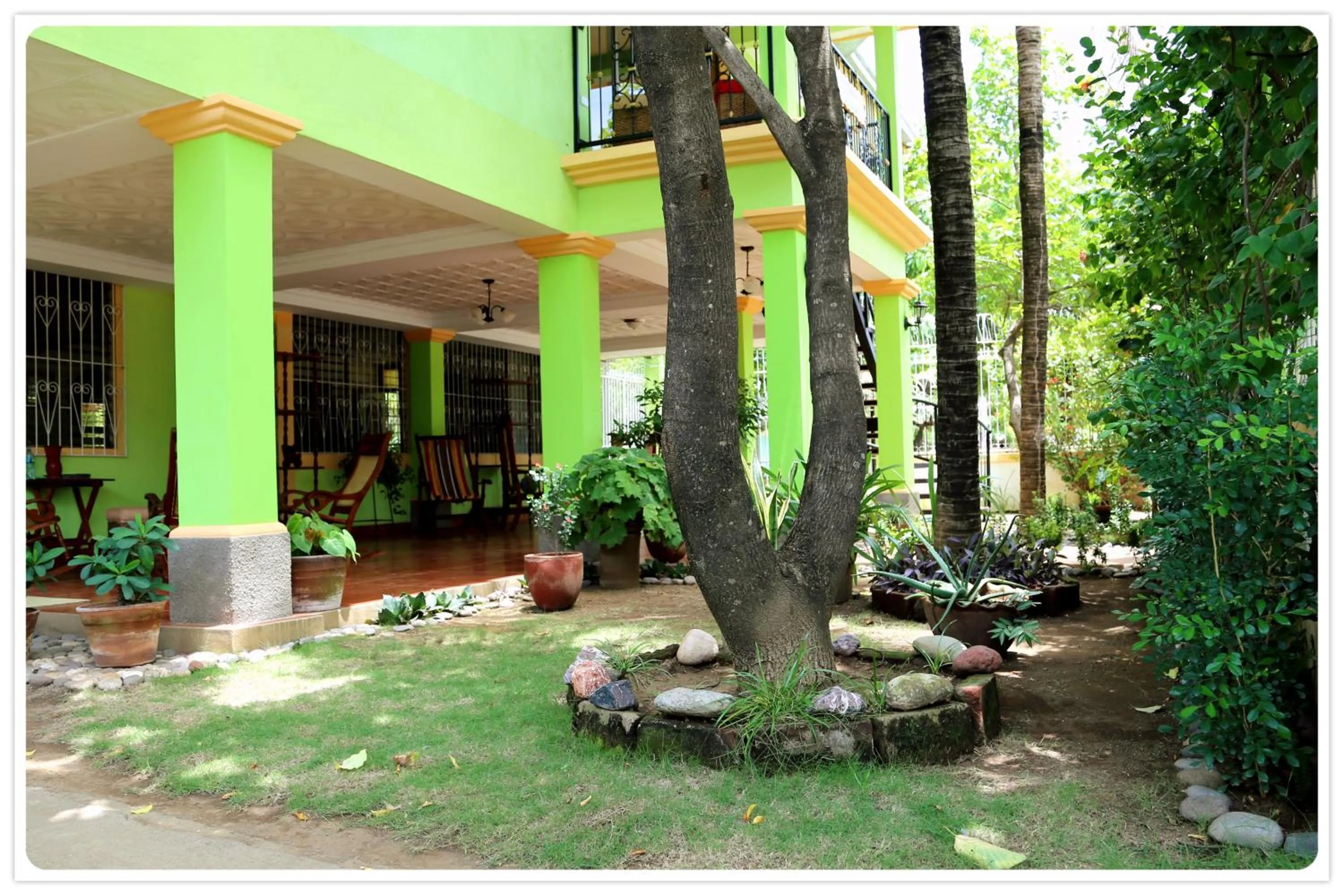 Garden in Hostal San Antonio