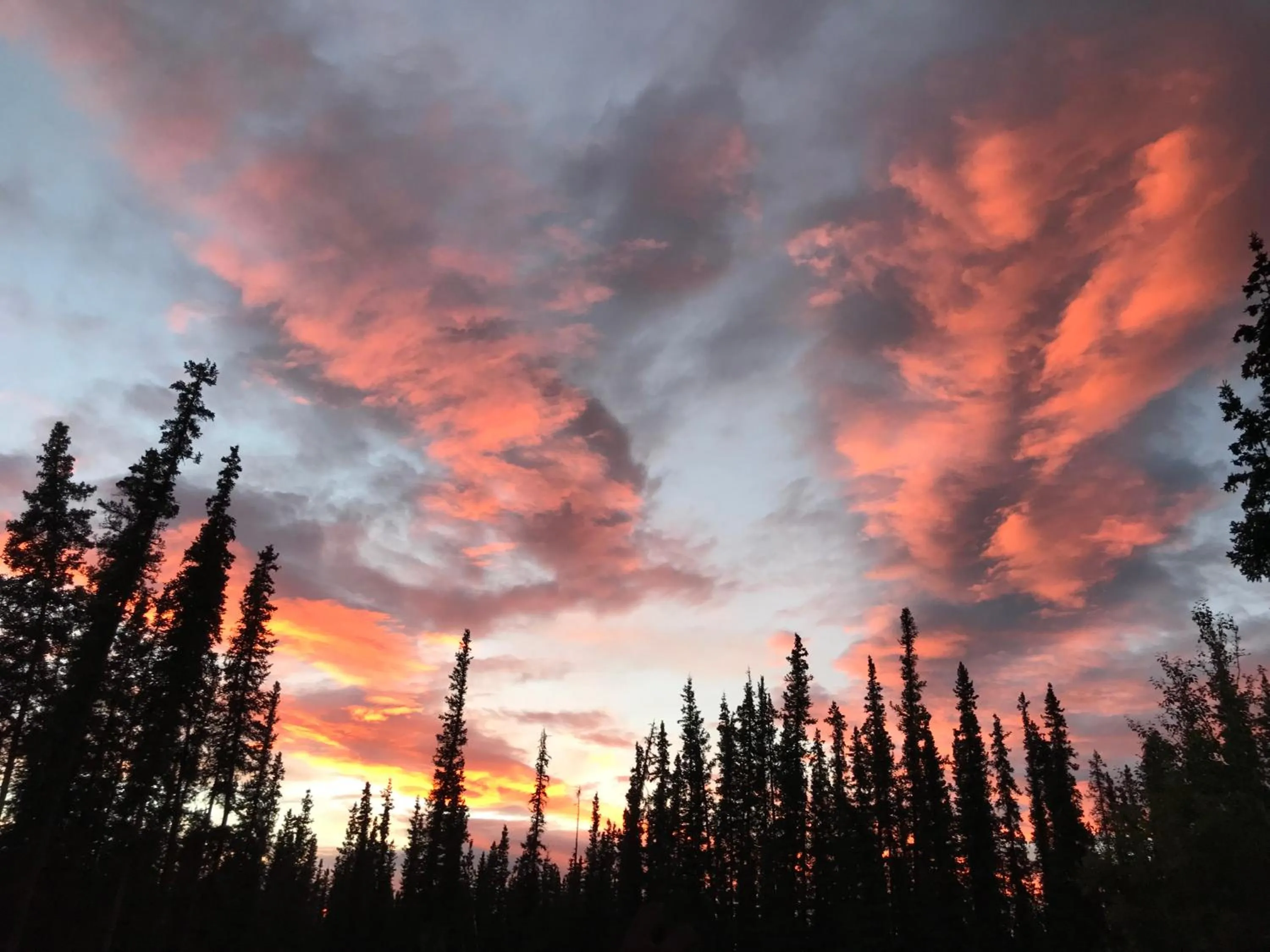 Summer in A Hyde Away Inn B&B