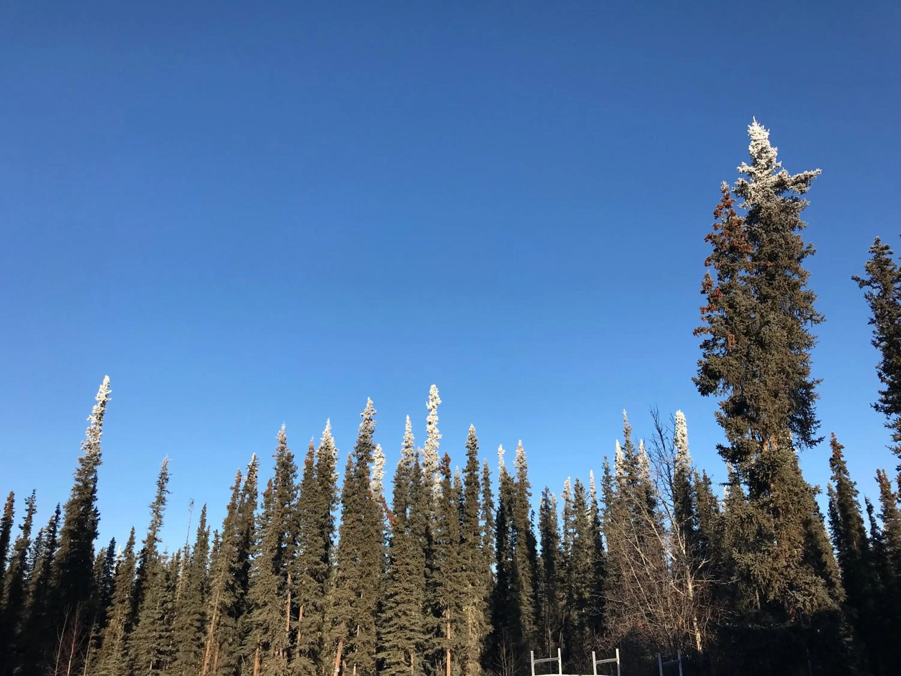 Autumn in A Hyde Away Inn B&B