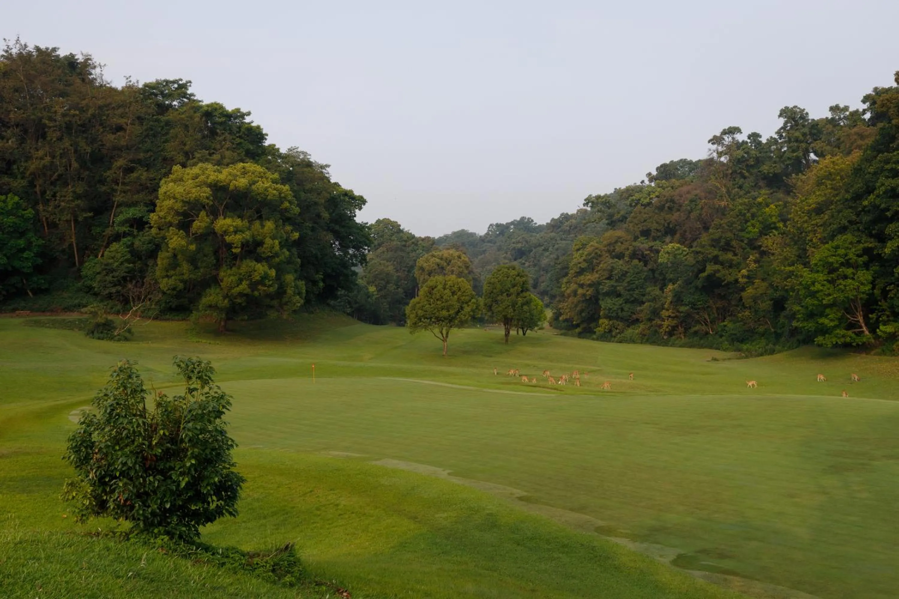 Natural landscape in Gokarna Forest Resort Kathmandu