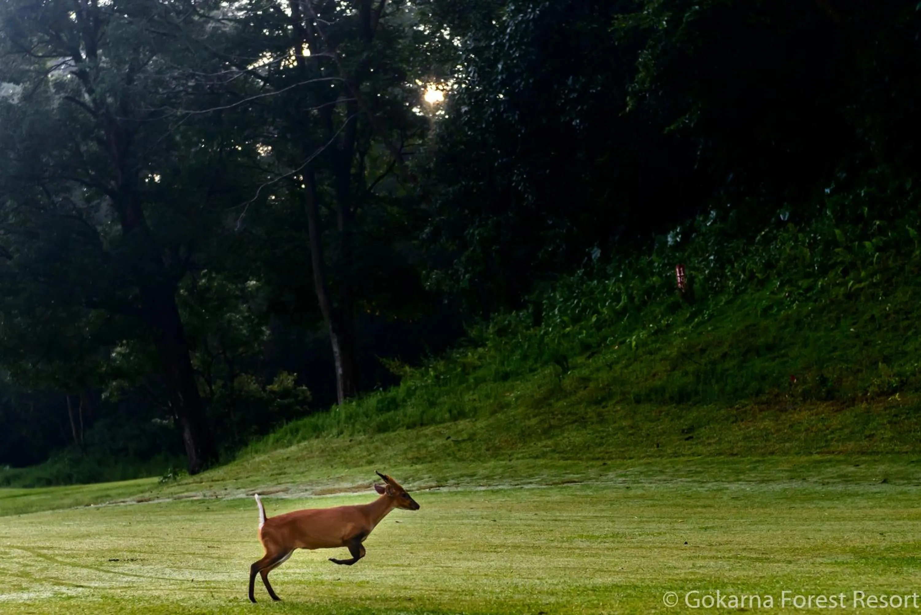 Landmark view in Gokarna Forest Resort Kathmandu