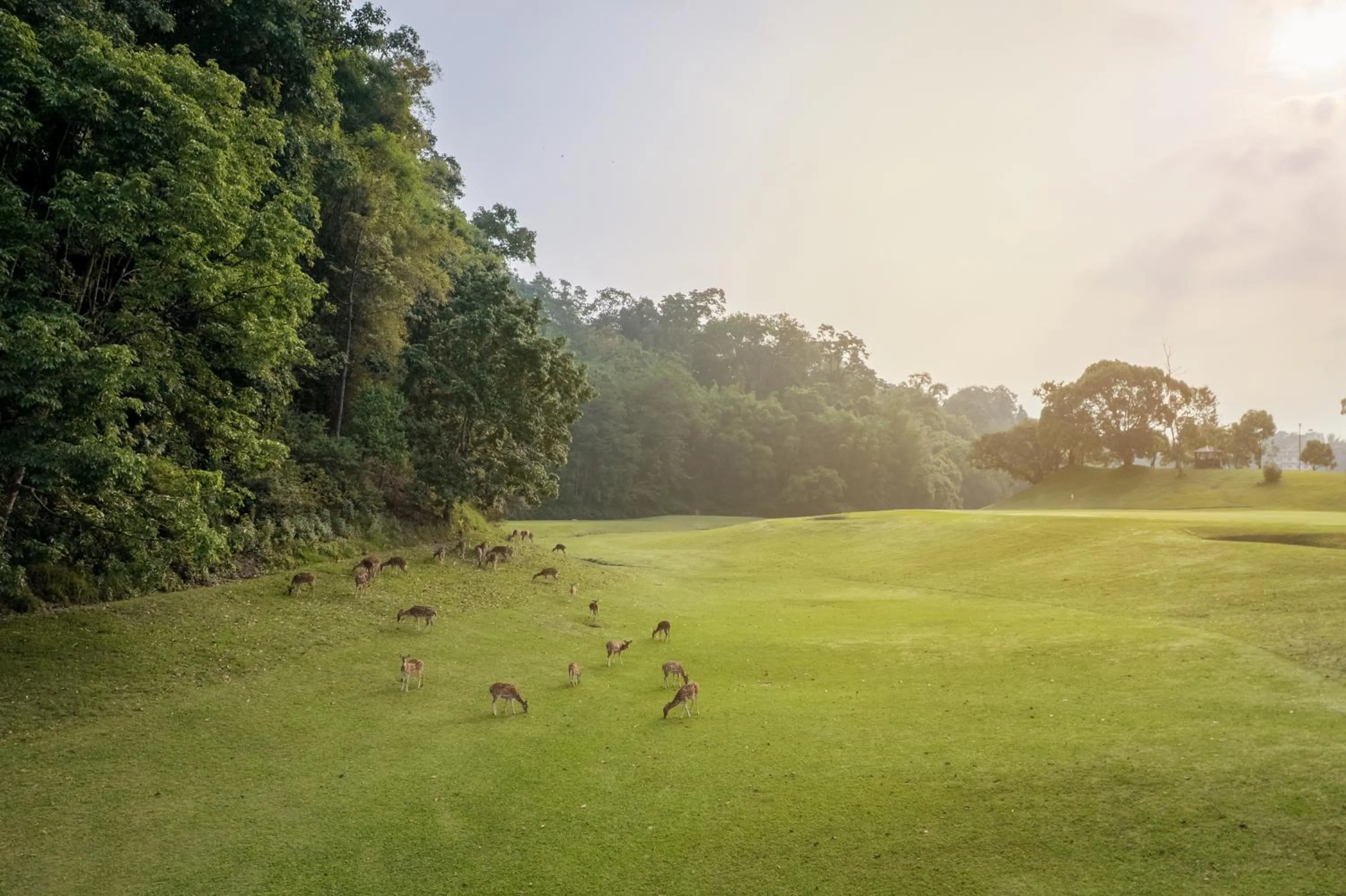 View (from property/room) in Gokarna Forest Resort Kathmandu