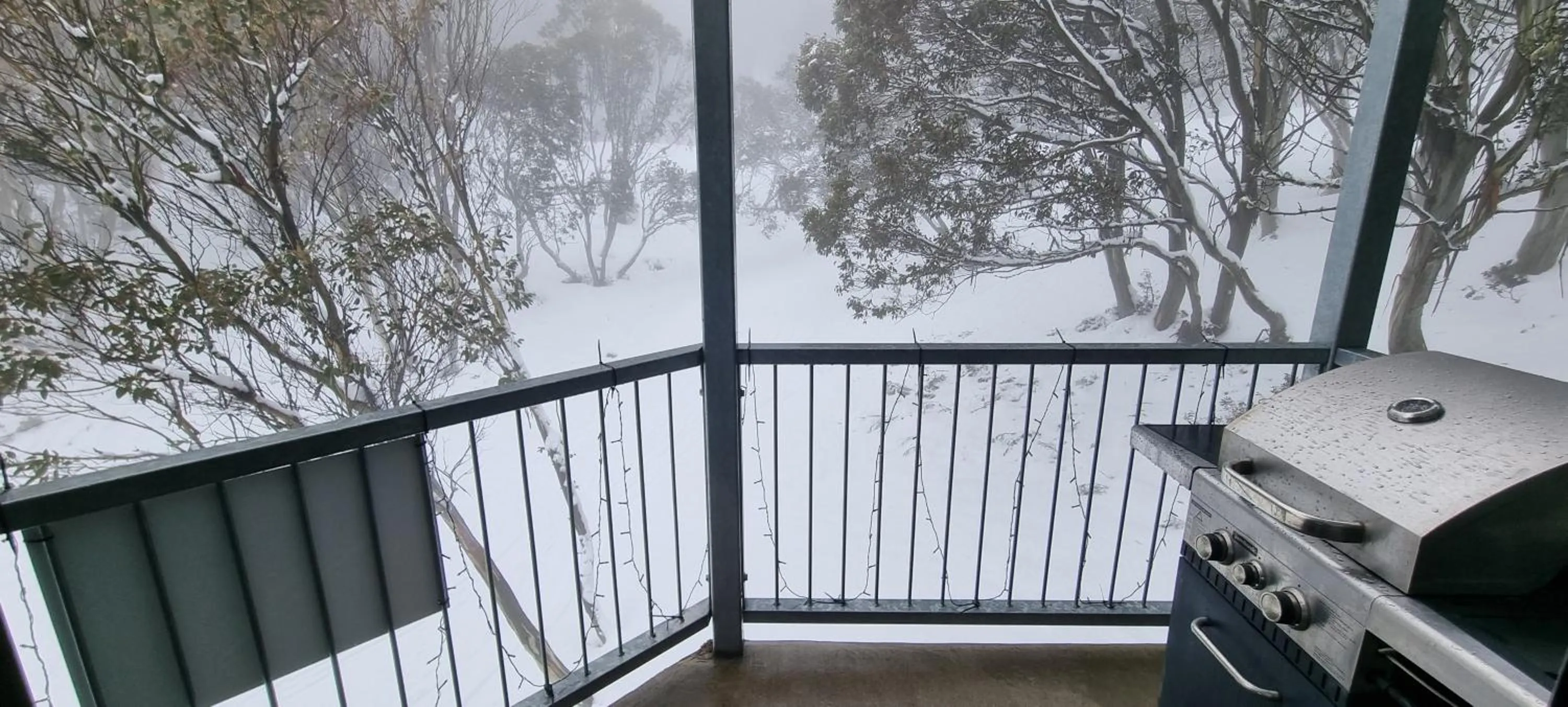 Cedarwood Apartments