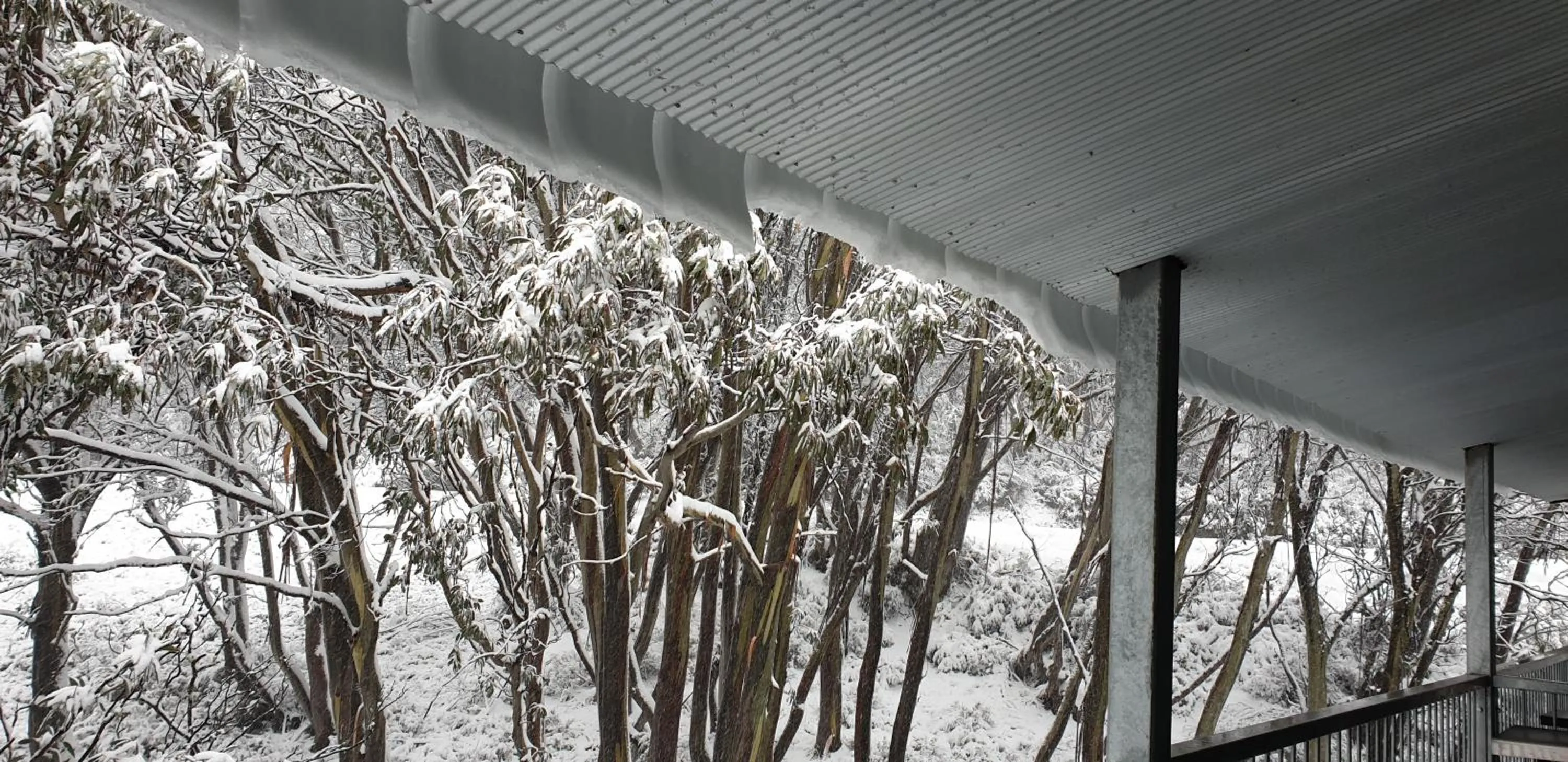 Cedarwood Apartments