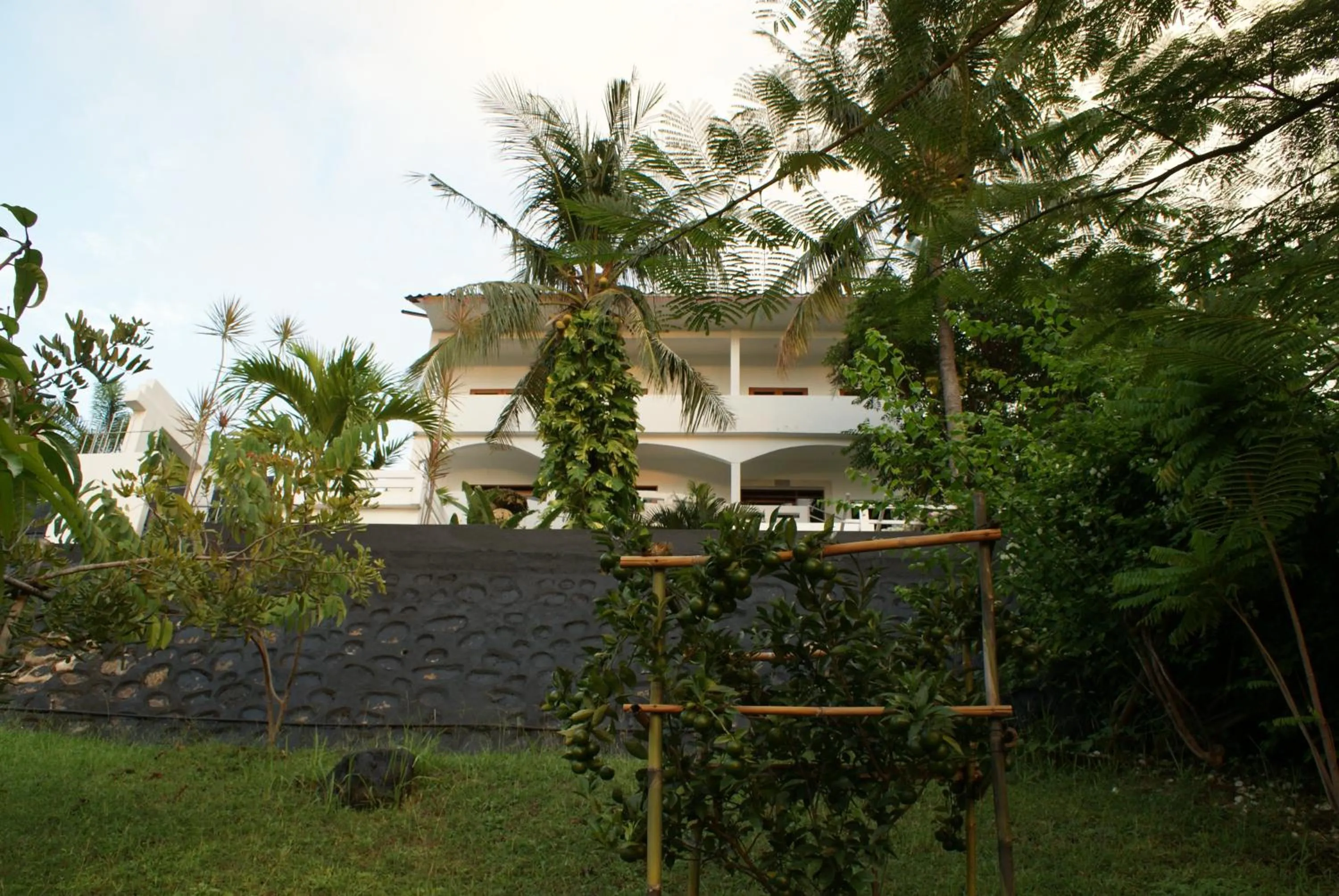 Property building in Villa Buah