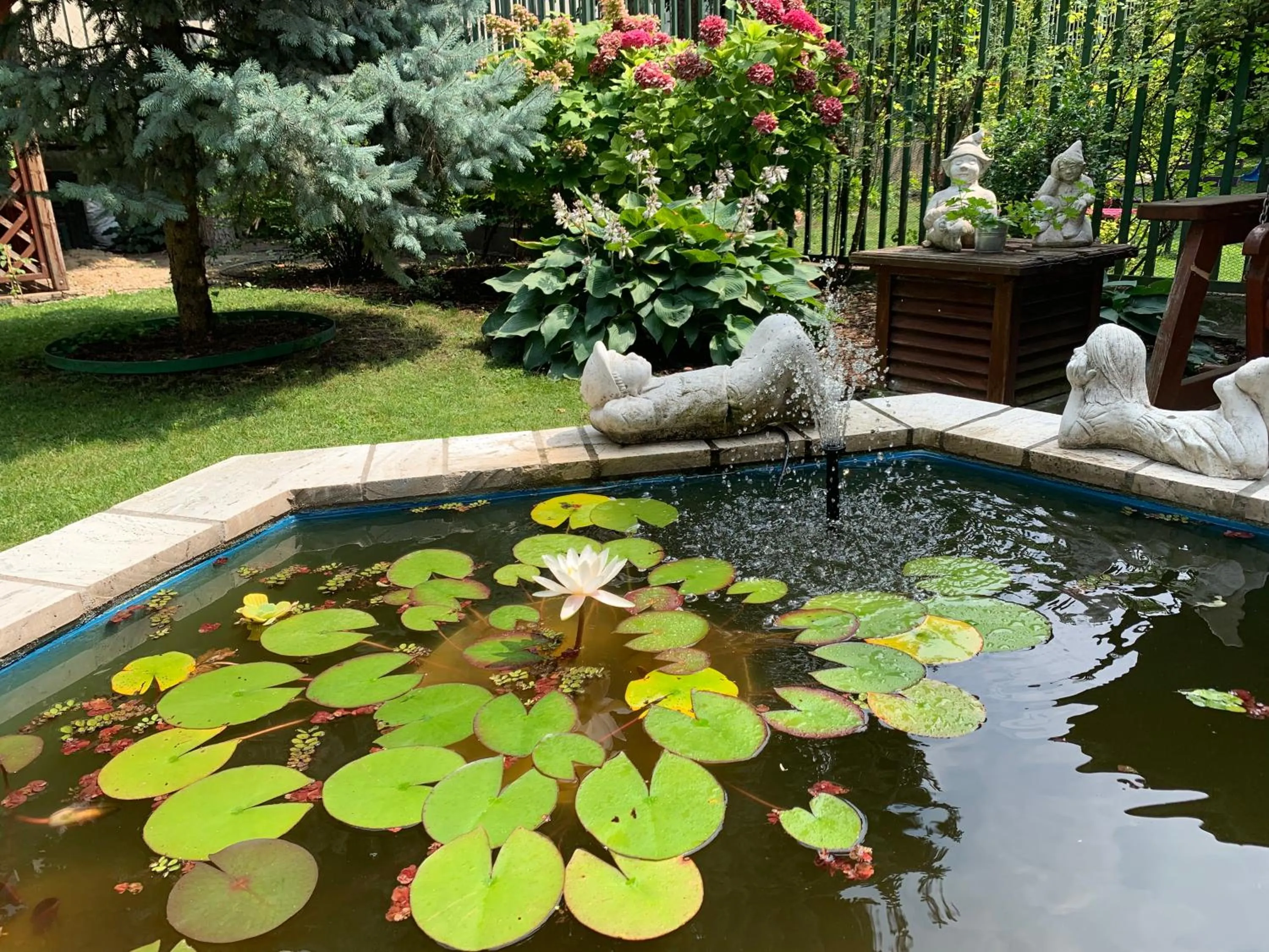 Garden in Hotel Arcus Garden