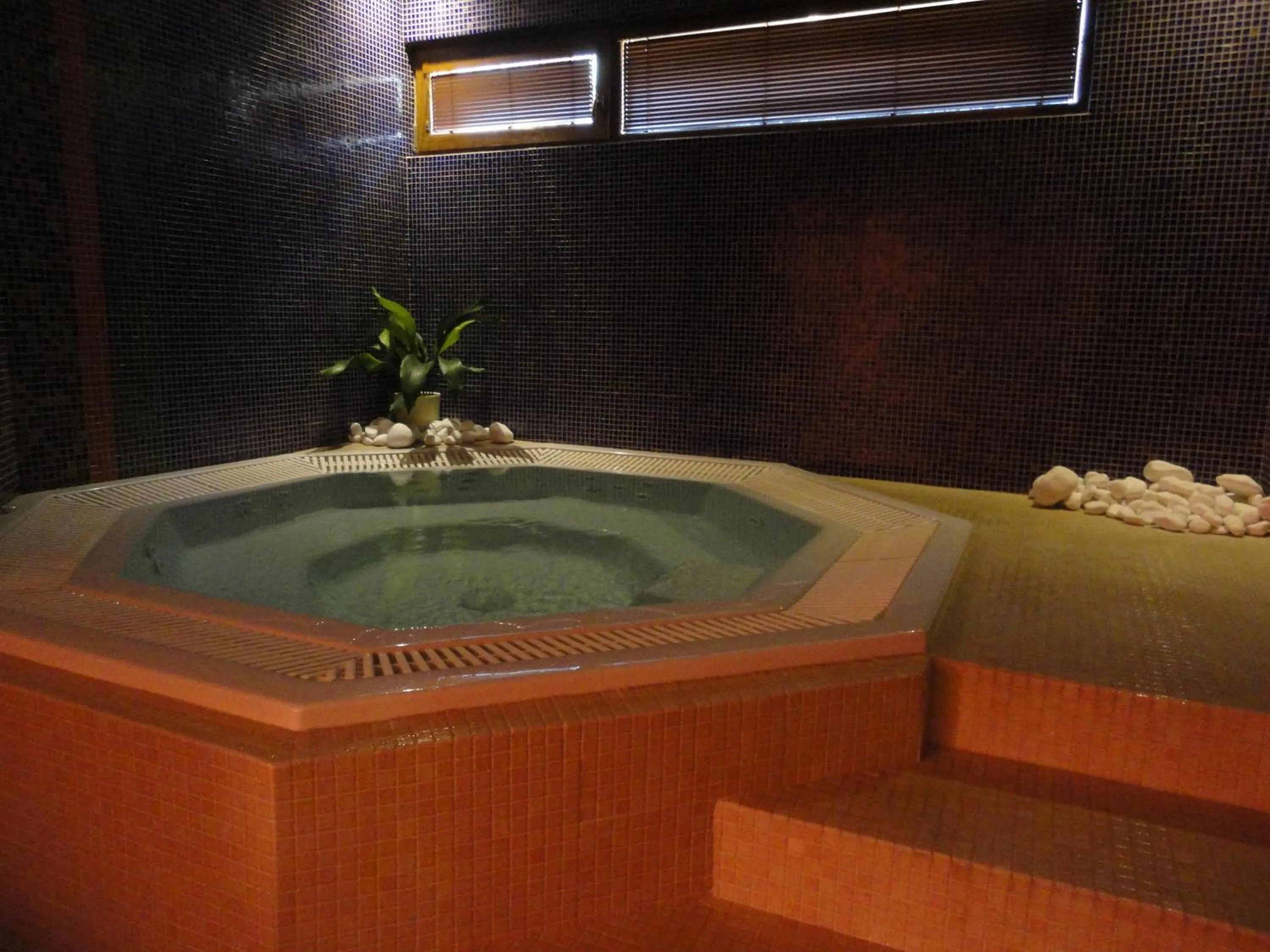 Hot Tub in Hotel Bystrička