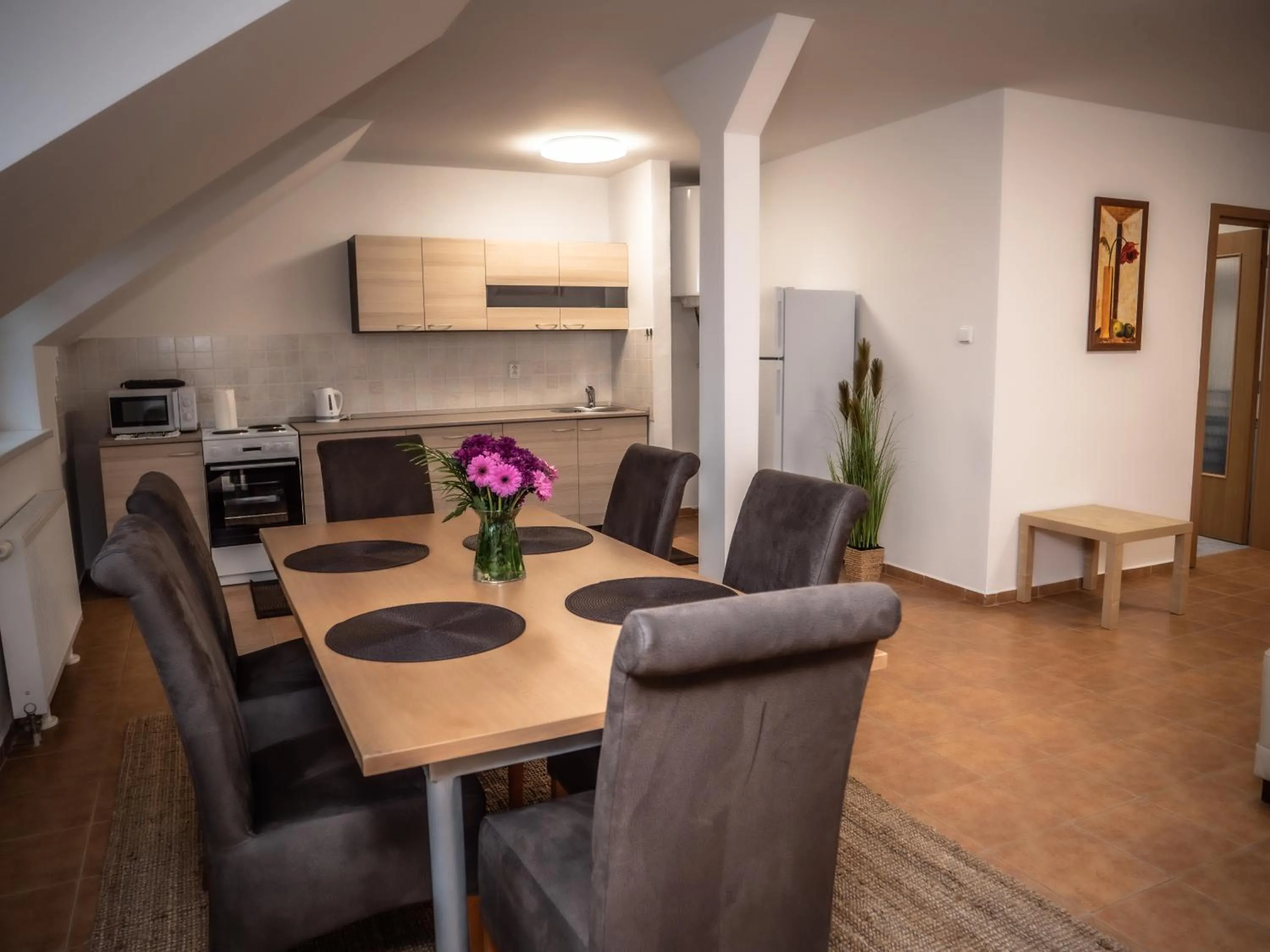 Kitchen or kitchenette in Hotel Novy Kastiel - Self check-in