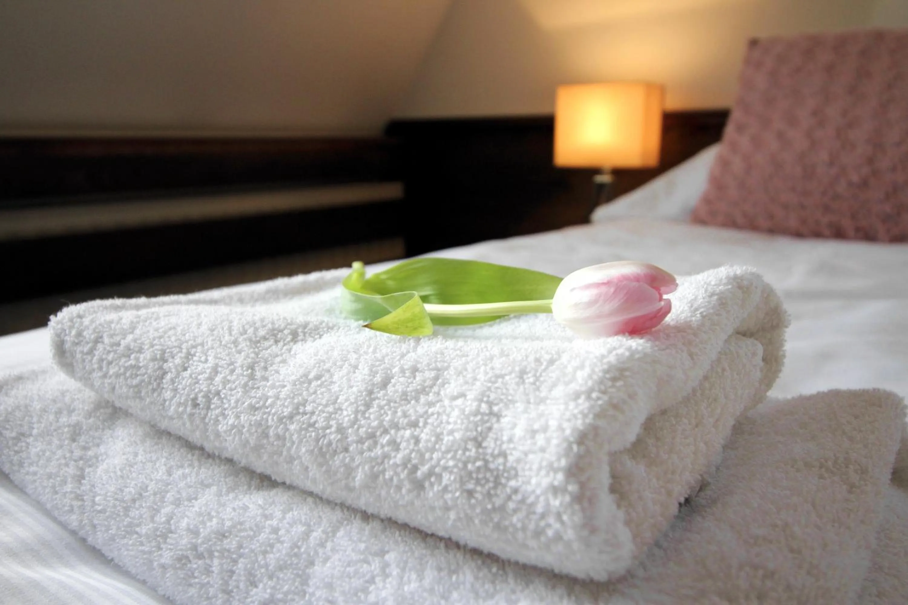 Bed in Penzión Wellness & Restaurant Zoborská, free parking